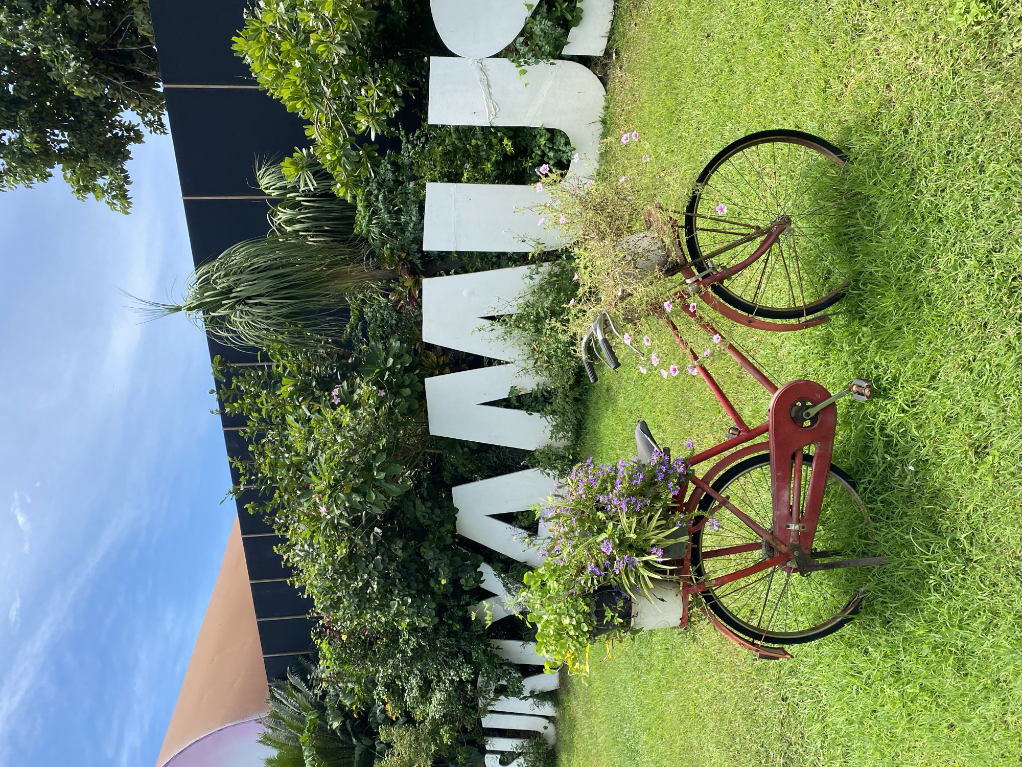 This media file depicts an outdoor scene in Bang Sare, Thailand, with a focus on decorative elements against a backdrop of greenery and a clear blue sky. The primary subjects are large, white, three-dimensional letters forming what appears to be part of a word or name, interspersed with lush plants and small pink and purple flowers. A vintage red bicycle is positioned as a decorative object, with a basket on the front filled with purple flowers and trailing greenery, and another plant overflowing from a planter on the rear rack. The bicycle's wheels are prominently featured.
The setting is a well-maintained grassy area, likely a garden or park, with dense foliage and trees surrounding the letters. In the background, a dark wall or structure is visible, contrasting with the lighter elements. Above this, a pale brown curved structure and a section of a large white circular or curved design with a pinkish-purple gradient are partially visible, suggesting it might be part of a building or a large sculpture. The sky is a vibrant blue with a few wispy clouds, indicating daytime, likely with pleasant weather.
There is no discernible activity or event taking place; the scene is static and appears to be staged for aesthetic purposes. The overall impression is one of a welcoming and creatively decorated outdoor space, possibly a tourist attraction or a public garden. The visible text consists only of the large white letters forming part of the word.