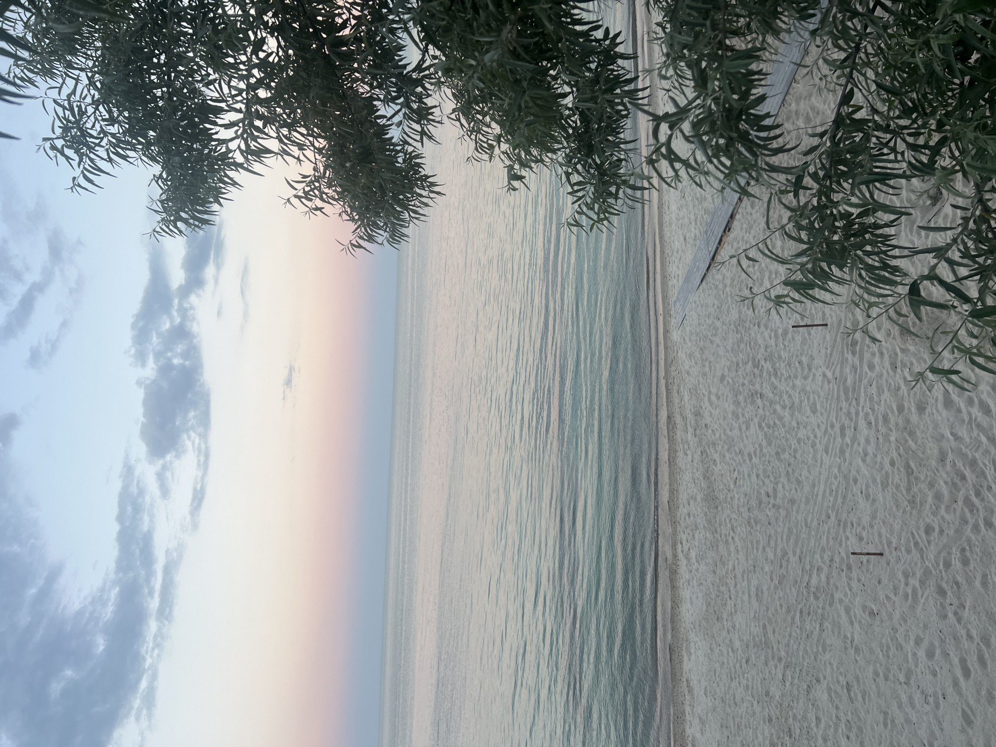 A serene beach scene unfolds at dusk. The sky transitions from a soft blue at the top to a gradient of pale pink and peach near the horizon. Light clouds are scattered across the upper portion of the sky. The calm, light blue-green water of the sea gently laps at the shore, creating subtle ripples. The beach itself is covered in light-colored sand, marked with the footprints of unseen visitors. A wooden walkway, composed of weathered planks, leads across the sand towards the water. The foreground is partially obscured by the dark green, leafy branches of a tree, which frame the right side of the image and extend into the upper right corner. The overall atmosphere is peaceful and tranquil.
