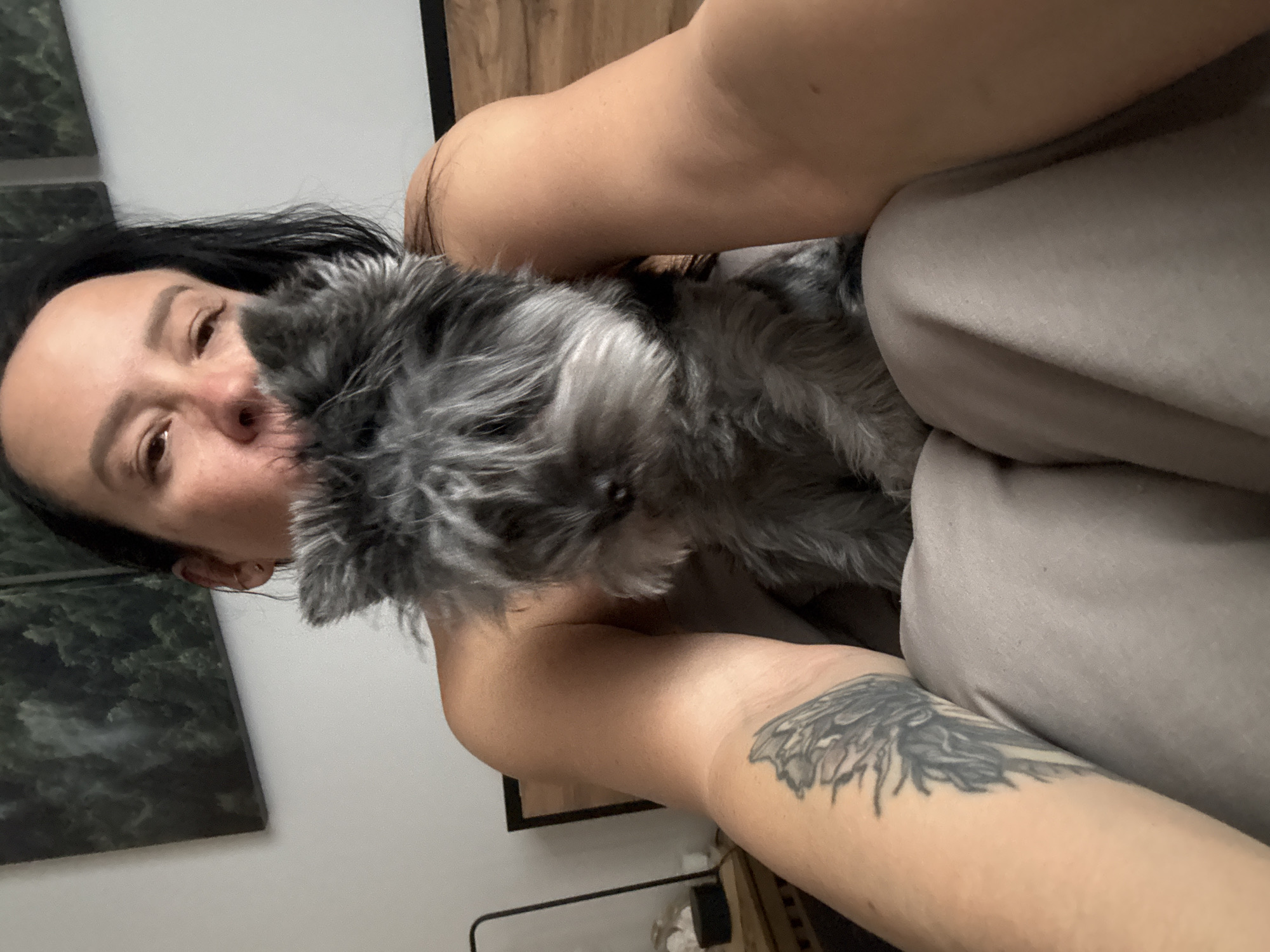 A person with dark hair and fair skin is holding a small, gray, fluffy dog close to their face. The person has a tattoo on their left arm. They appear to be indoors, as evidenced by the presence of a bed, wall art, and furniture in the background. The location is not discernible as Chaikovsky, Russia, based on visual information.