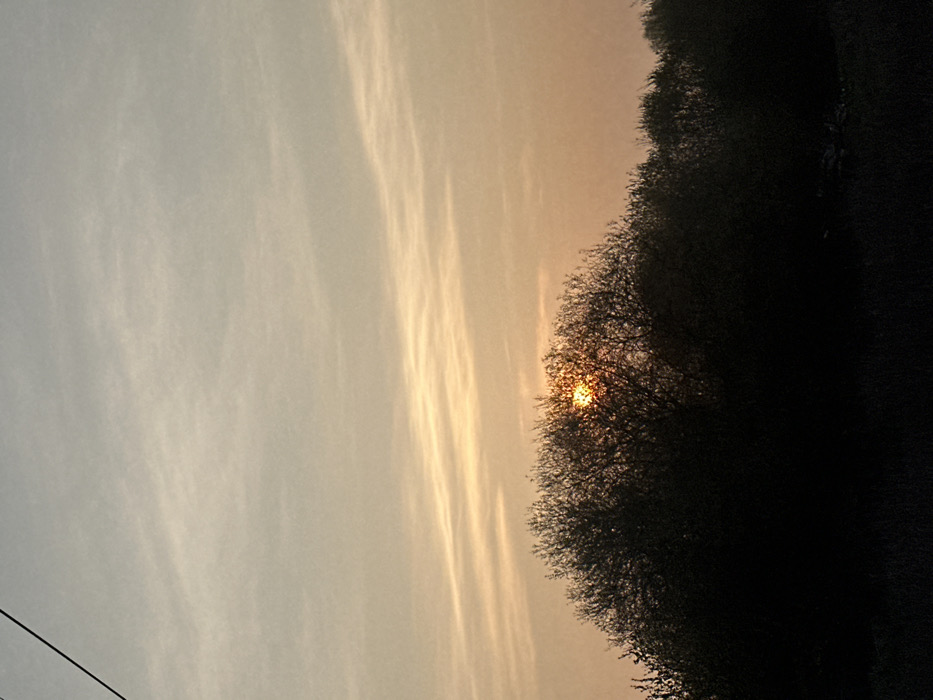 The image displays an outdoor landscape in Saulx-les-Chartreux, France, captured during either sunrise or sunset. The sky occupies approximately two-thirds of the frame, presenting a gradient from a pale blue-grey at the top to a warm golden-orange hue near the horizon, interspersed with faint, wispy clouds stretching horizontally. The sun, a bright orange-yellow orb, is partially obscured by the silhouette of dense, leafless trees and bushes that dominate the lower third of the scene. The vegetation forms an irregular, dark horizontal mass, with individual branches visible against the luminous sky where the sun shines through. The ground beneath the trees is undifferentiated and deeply shadowed. A thin, dark line, consistent with an overhead cable or wire, diagonally traverses the sky in the upper left quadrant. No human figures, animals, or specific structures other than the natural elements and the potential utility wire are visible.