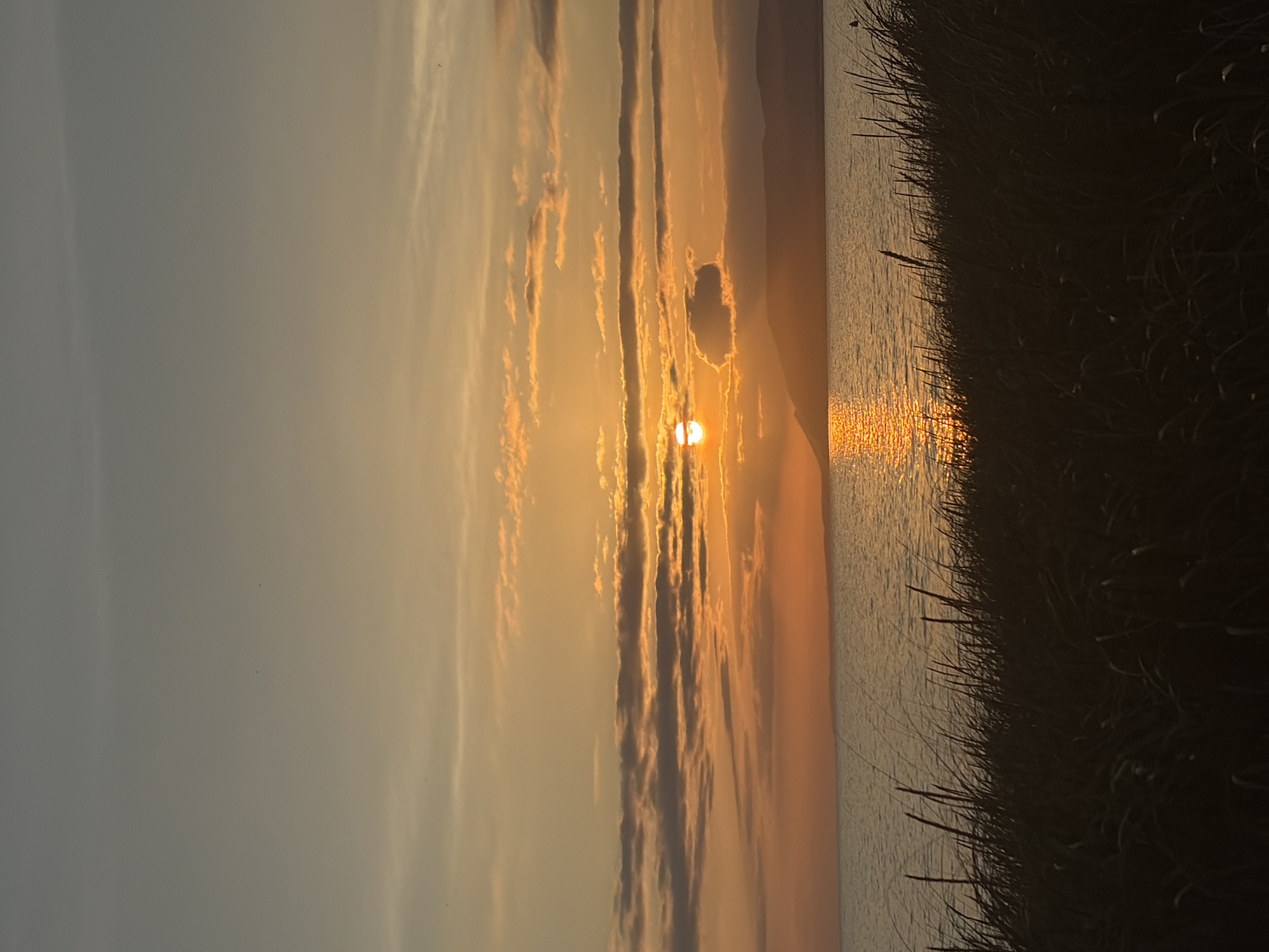 This is a photograph of a sunset over a body of water, possibly a lake or the sea. The sun, a bright orange orb, is partially obscured by clouds, casting a shimmering golden reflection on the water's surface. In the foreground, tall, dark grass is silhouetted against the glowing sky and water, suggesting a coastal or lakeside environment. The horizon is marked by a distant, low-lying landmass, possibly hills or mountains. The sky transitions from a warm orange near the horizon to a cooler grey at the top of the frame, with scattered clouds throughout. There are no people or specific identifiable landmarks visible that would definitively place this scene in Ozerskoe, Russia, or any other specific location.