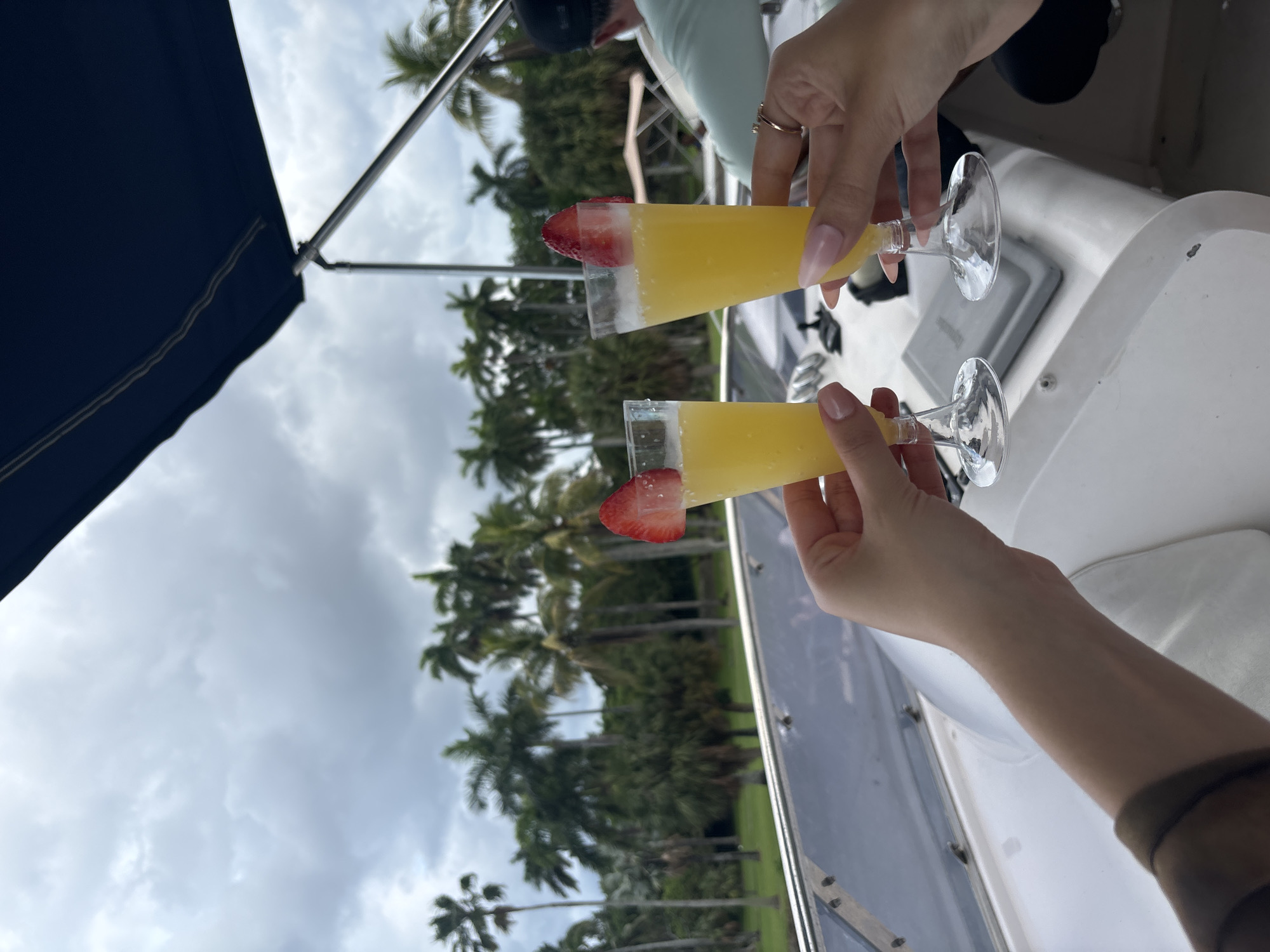Two hands hold champagne flutes filled with a yellow beverage, each garnished with a strawberry slice. The flutes rest on the white deck of a boat, with a glimpse of a person in the background wearing a light blue shirt and a black baseball cap. In the distance, lush green palm trees line the horizon under a cloudy sky. The scene appears to be set in Miami, Florida, likely during a boat excursion.