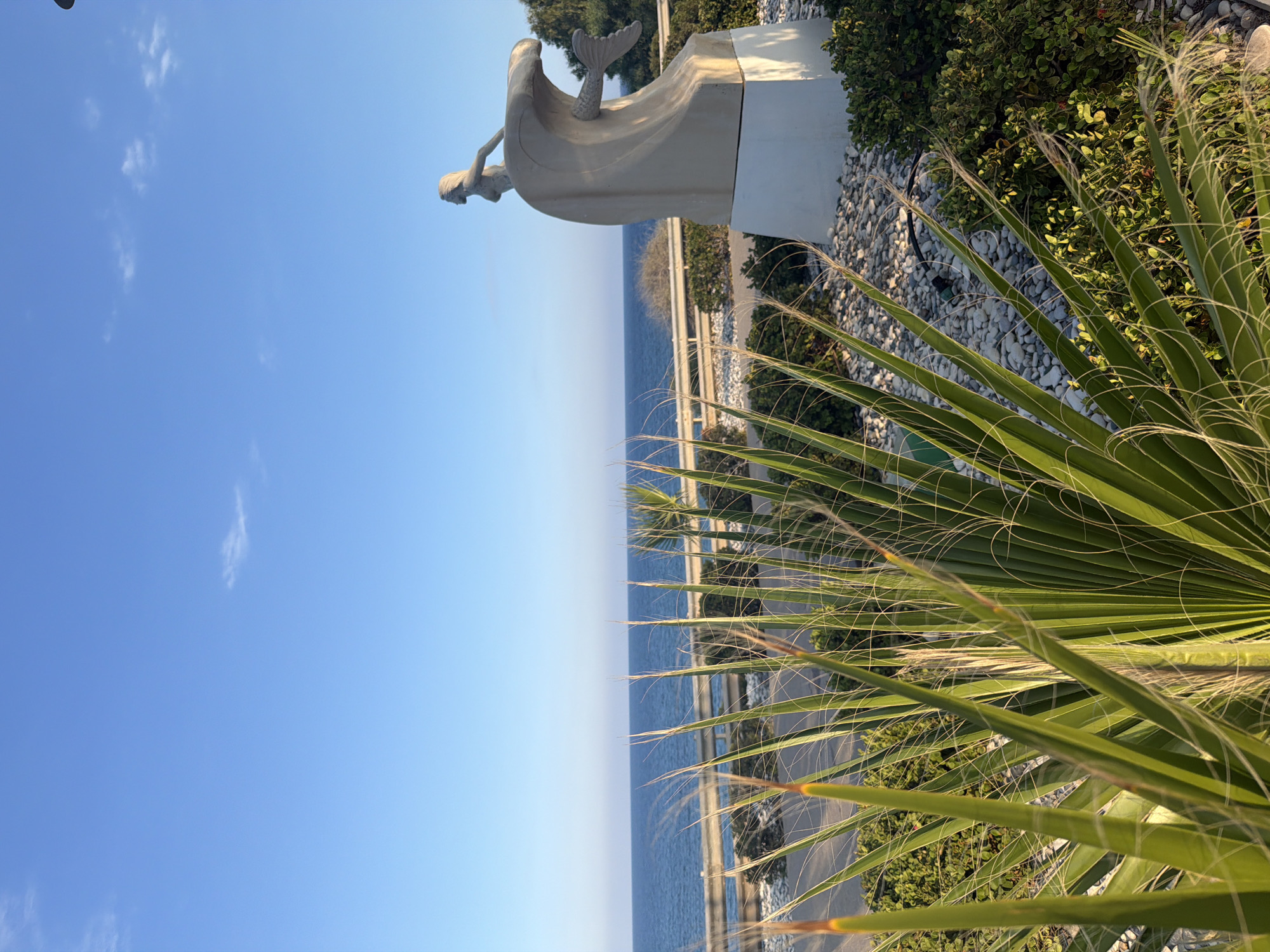 In Meneou, Cyprus, a statue of a mermaid emerging from a wave stands near the coast. The statue is made of light-colored stone and is mounted on a white pedestal. The background features the blue sea, a road, and lush green vegetation. In the foreground, a close-up of palm fronds adds a tropical feel to the scene. The sky is clear and blue, indicating a sunny day.