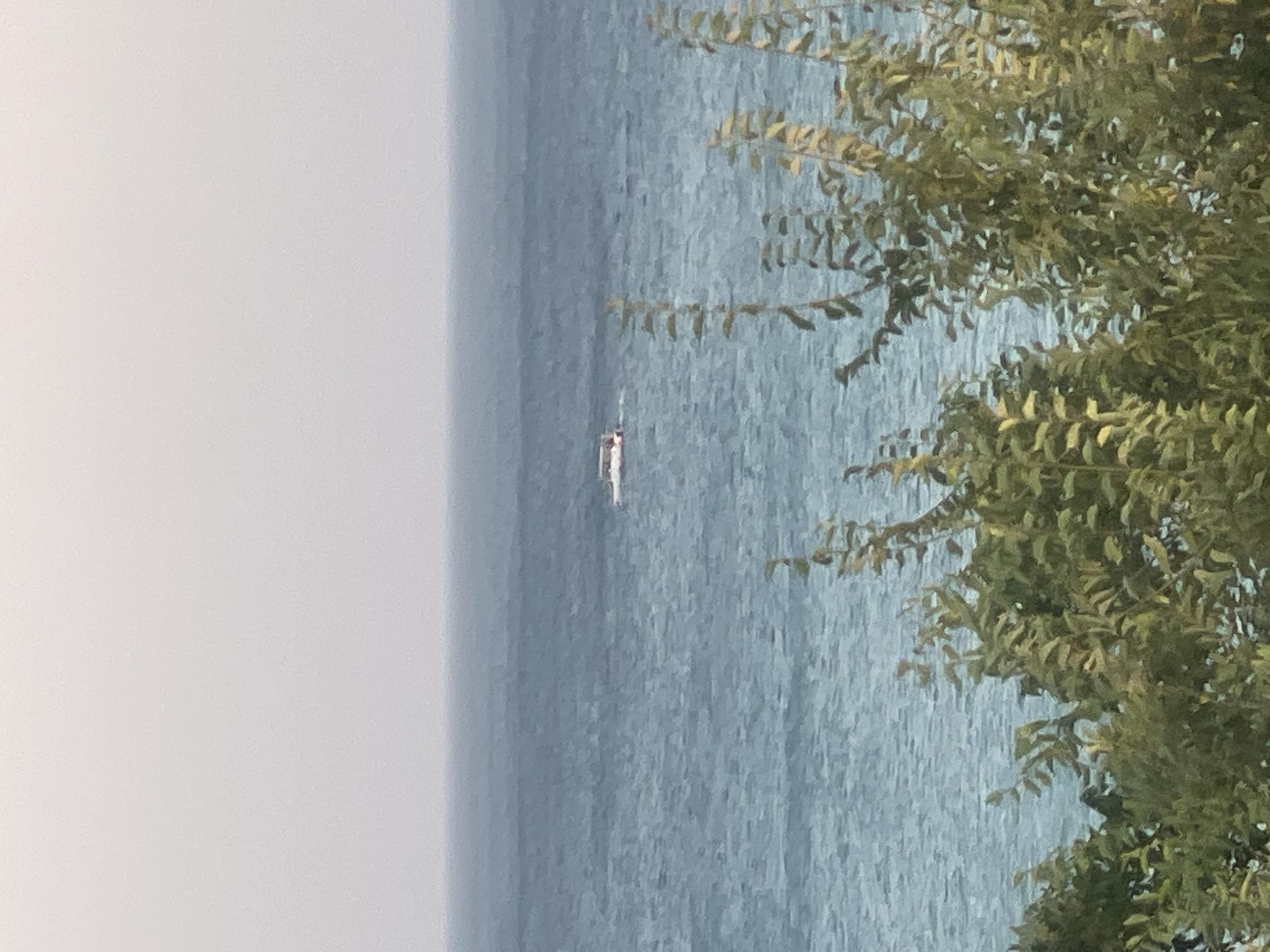 A wide shot of the Caspian Sea near Aktau, Kazakhstan. The water is a deep blue, with a light chop. The sky is overcast and a pale gray. In the distance, a small white boat with a red stripe is visible on the water. In the foreground, the tops of green trees with some yellowing leaves are visible, obscuring the lower part of the scene. The overall atmosphere is serene and natural.