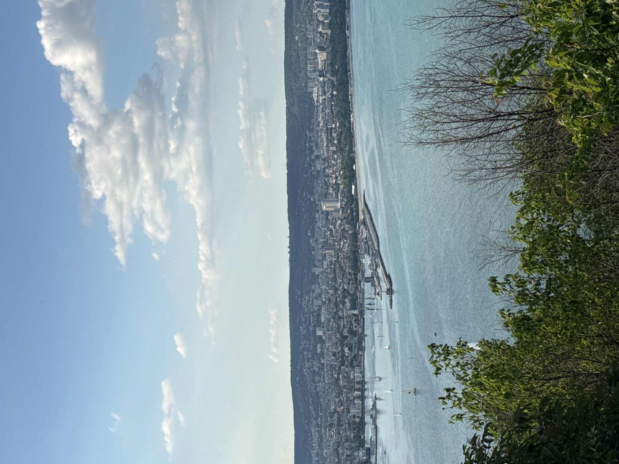 This image shows a view of Varna, Bulgaria, looking out over the Black Sea. The perspective is from an elevated point, likely a hillside or high ground overlooking the city. The city extends along the coastline, with buildings of varying heights and architectural styles visible. A long, man-made structure, possibly a breakwater or pier, extends into the sea. Several sailboats are scattered on the water. The sky is partially cloudy with a clear blue sky. In the foreground, there are trees and vegetation framing the view.