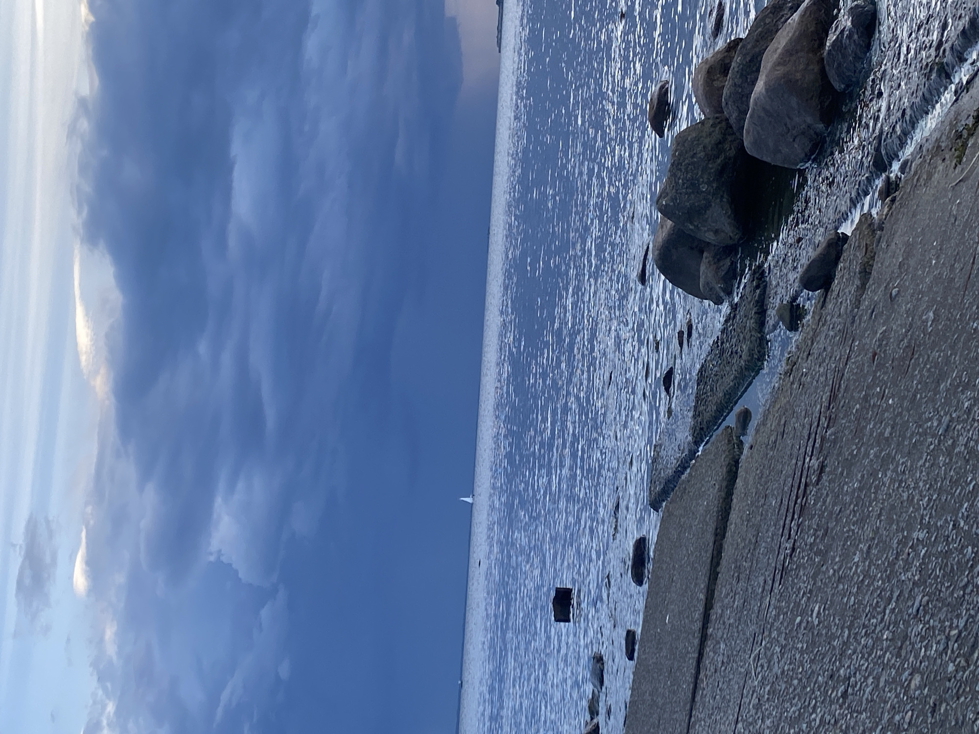 The image depicts a view of the Gulf of Finland near Sestroretsk, Russia. In the foreground, a concrete embankment and rocks line the shore. The water is calm with some ripples reflecting the overcast sky. In the middle distance, a single white sailboat is visible on the horizon. The sky is filled with dark, heavy clouds, suggesting approaching rain or a storm. The overall mood is serene yet slightly ominous due to the dramatic cloud formations.