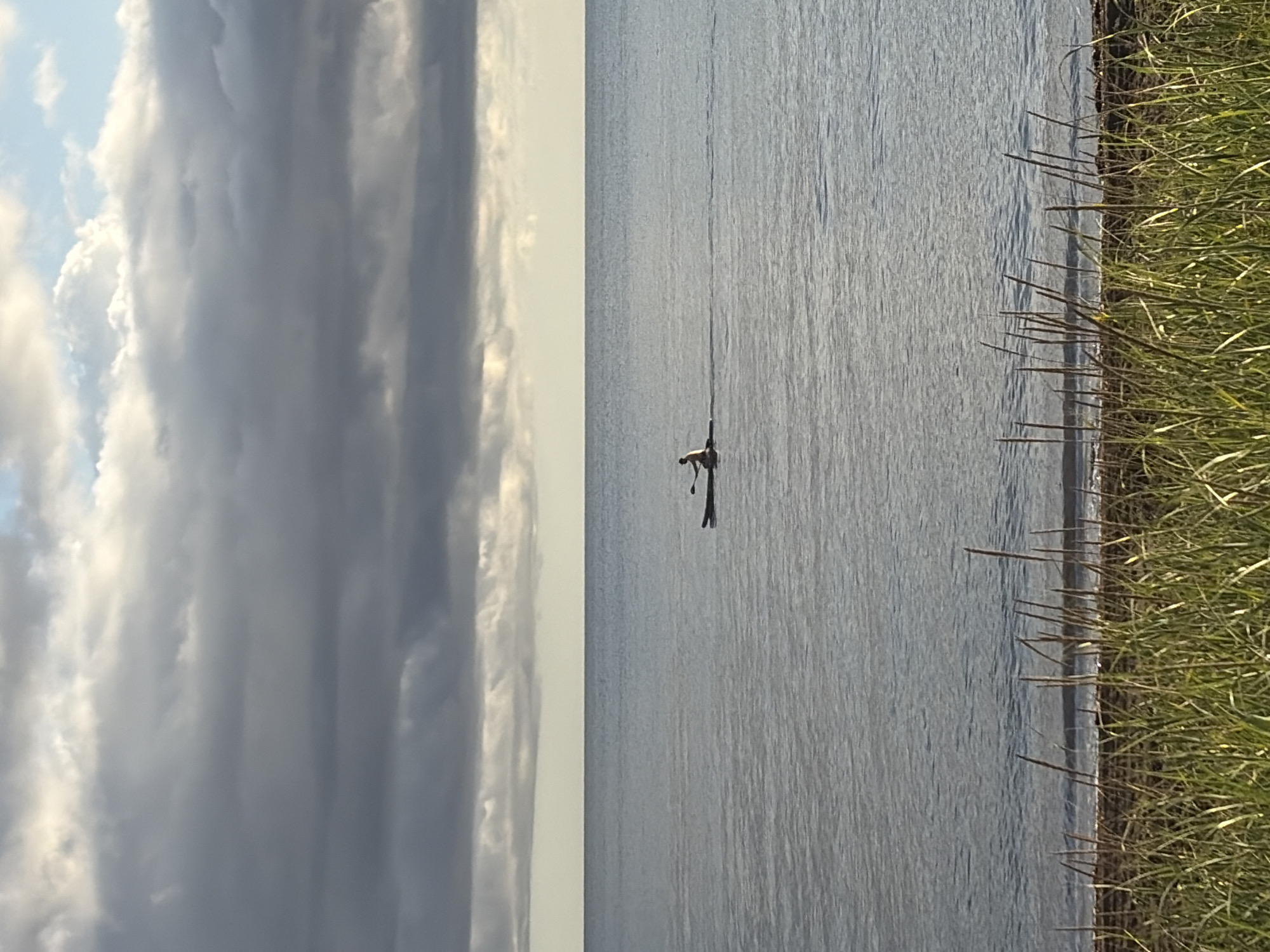 A single individual is seen paddling a canoe on a large body of calm water under a cloudy sky. The canoe is positioned in the middle of the frame horizontally, and slightly to the right of center vertically. The person is facing towards the left side of the image, with their paddle in the water. The water appears still, with subtle ripples on the surface. In the foreground, tall green grass and reeds grow along the shoreline. The horizon line is distinct, separating the water from the sky, which is filled with heavy, gray clouds with some lighter patches indicating diffused sunlight. The location is identified as Ozerskoe, Russia.