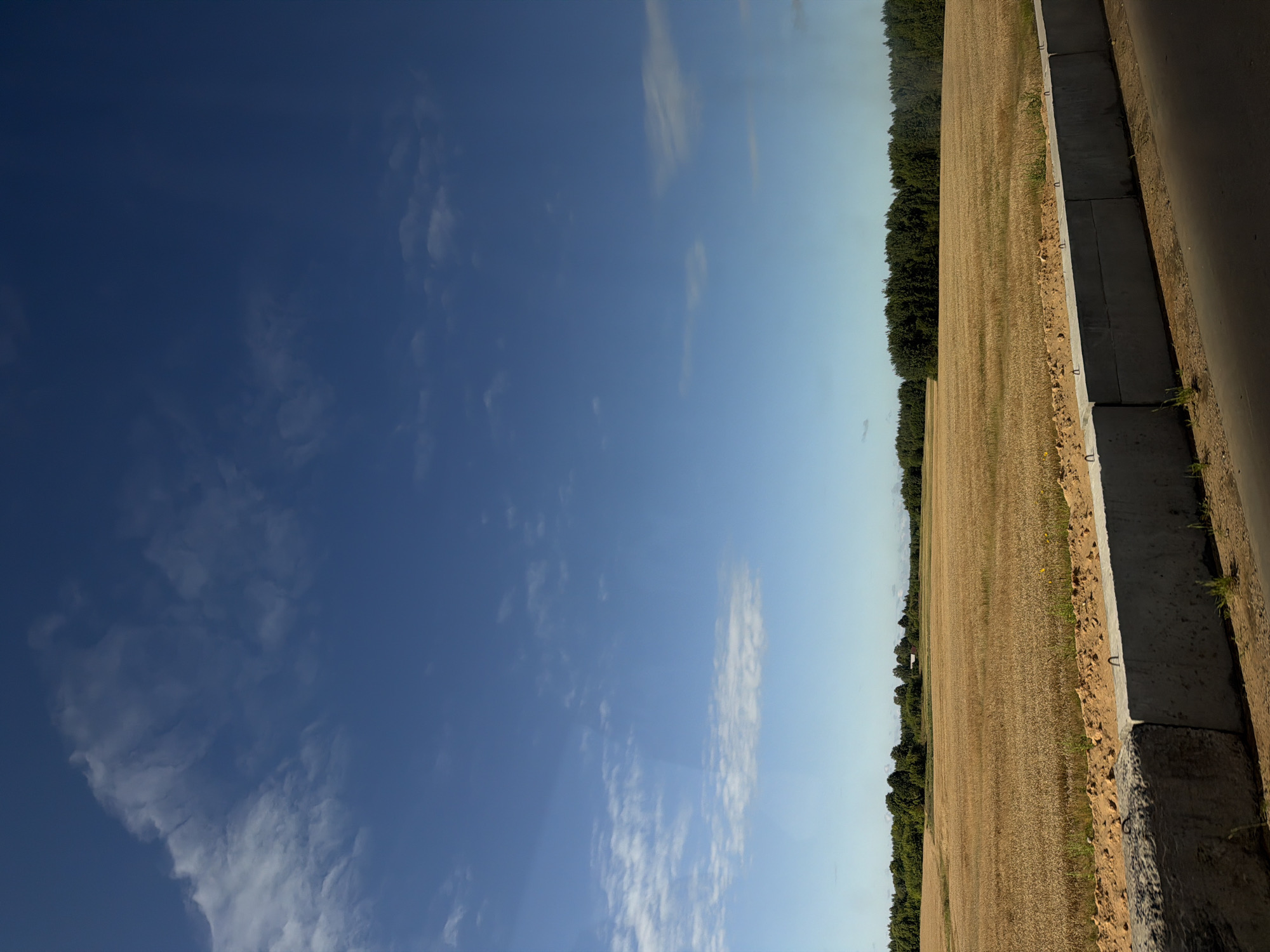The image depicts a wide, golden field of ripe crops, likely wheat or barley, under a vast blue sky with scattered white clouds. A dense line of dark green trees forms the horizon in the distance, with a small white building partially visible amongst them. In the foreground, a concrete barrier separates the field from a dark, paved surface, possibly a road or path. The lighting suggests it is daytime, with the sun casting subtle shadows. The scene is located in the rural area of Гарбавіцкі сельскі Савет, Belarus, characterized by its agricultural landscape and natural vegetation. There are no people or animals visible in the frame.