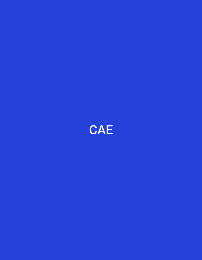 The image displays a uniformly royal blue background with the white, capitalized text 'CAE' centrally placed. There are no other visual elements, figures, or environmental details present. This image is located in the city of Casablanca, Morocco.