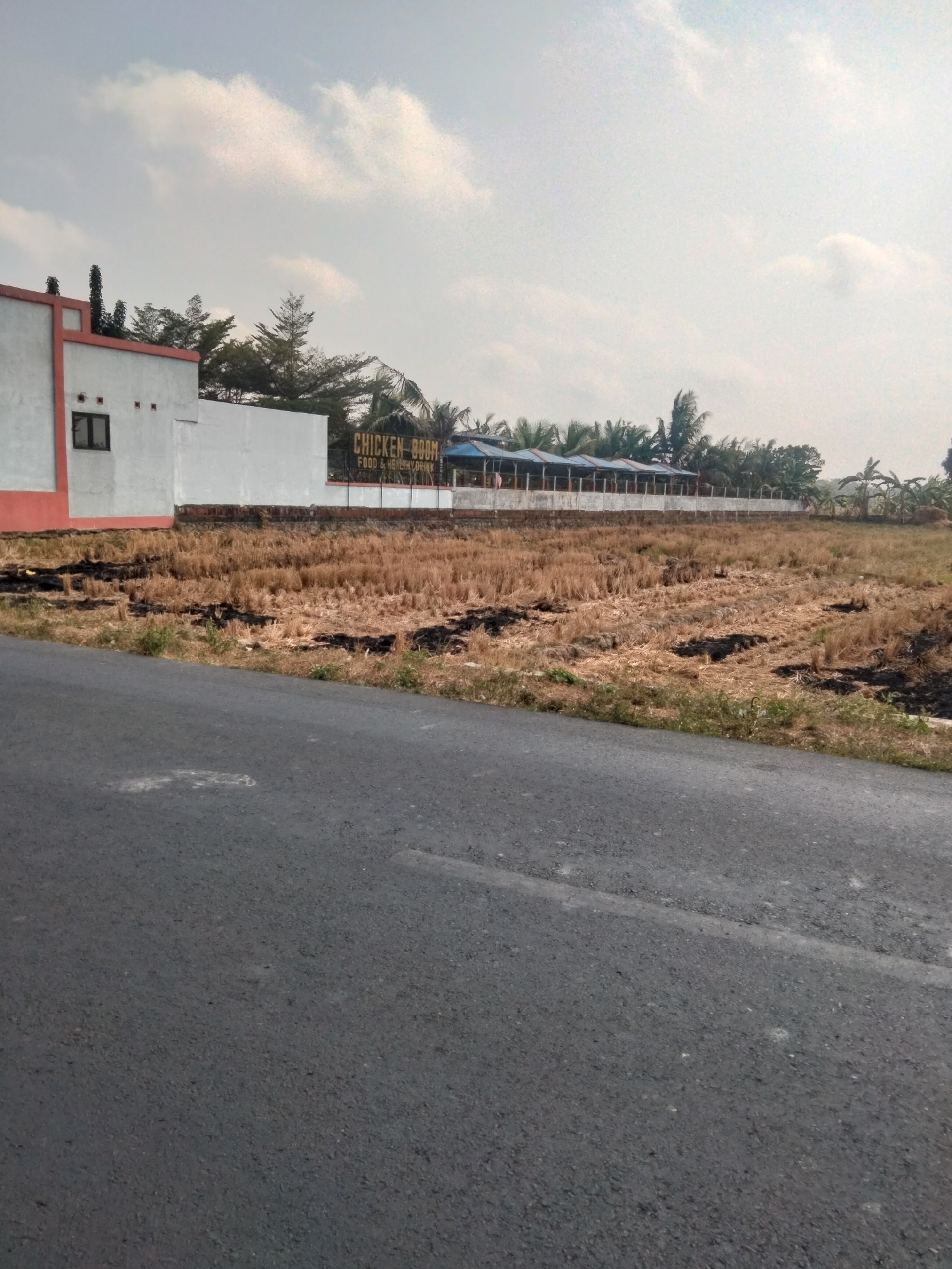 The image shows a view of a roadside in Sidasari, Indonesia. In the foreground, a grey asphalt road runs diagonally from the bottom left to the upper right. The road surface shows some wear and tear with patches of lighter grey and small white debris scattered across it.
To the right of the road, there is a field of dry, harvested rice stalks, which appear to have been recently burned in some areas, creating dark patches. A thin line of green grass grows along the edge of the road bordering the field.
Further back, a low, white-painted wall separates the field from a row of buildings. Above this wall, a sign with yellow lettering reads "CHICKEN BOOM FOOD & HEALTHY DRINK". The buildings behind the sign are covered by a blue-tiled roof supported by white pillars, extending along the length of the property. Palm trees and other lush green foliage are visible behind and around these buildings, indicating a tropical environment.
To the far left of the image, a portion of a white building with an orange trim is visible, featuring a dark-framed window and three small, square openings above it. The sky is overcast with light grey clouds.
