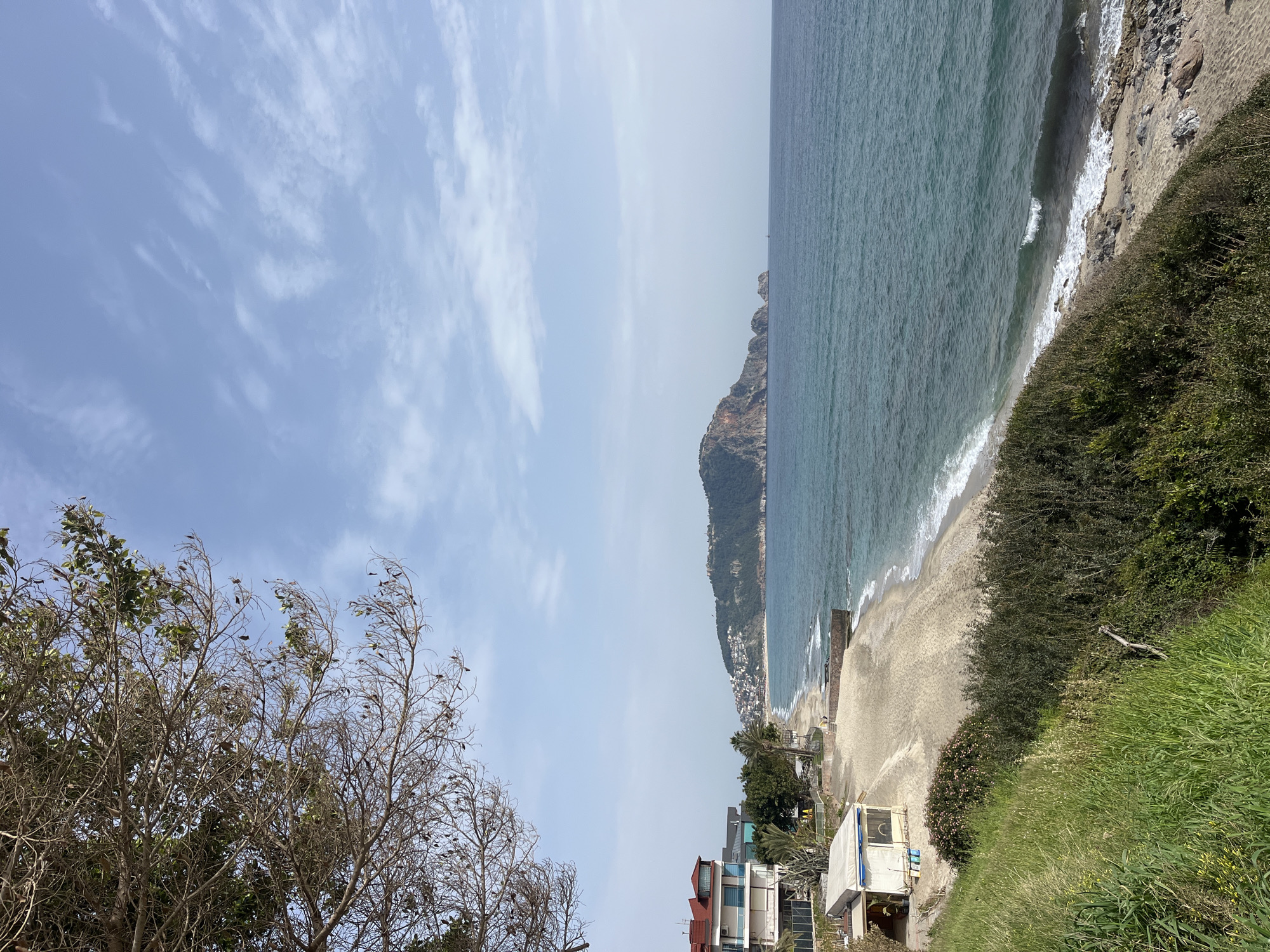 The image shows a coastal scene in Alanya, Turkey. In the background, there is a prominent rocky headland that extends into the sea. A city with white buildings is clustered at the base of the headland. The sea is a deep blue-green with visible waves breaking along the shoreline. The beach is light sand.
In the foreground, there is a grassy cliff edge on the right with some vegetation. On the left, a bare tree branch frames the view. Buildings are visible near the beach, and the sky is a pale blue with scattered white clouds.
