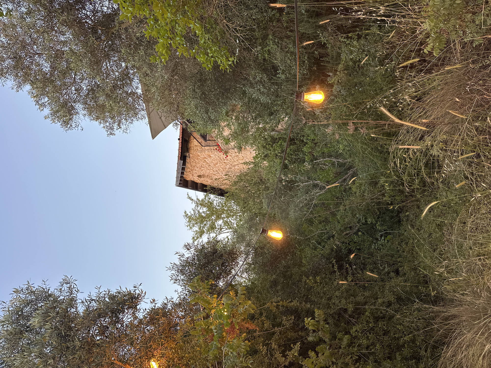 The image shows a building in Hof HaCarmel Regional Council, Israel, surrounded by trees and illuminated by string lights. The sky is visible above the trees. The building appears to be made of stone. Tall grass and foliage are also present.