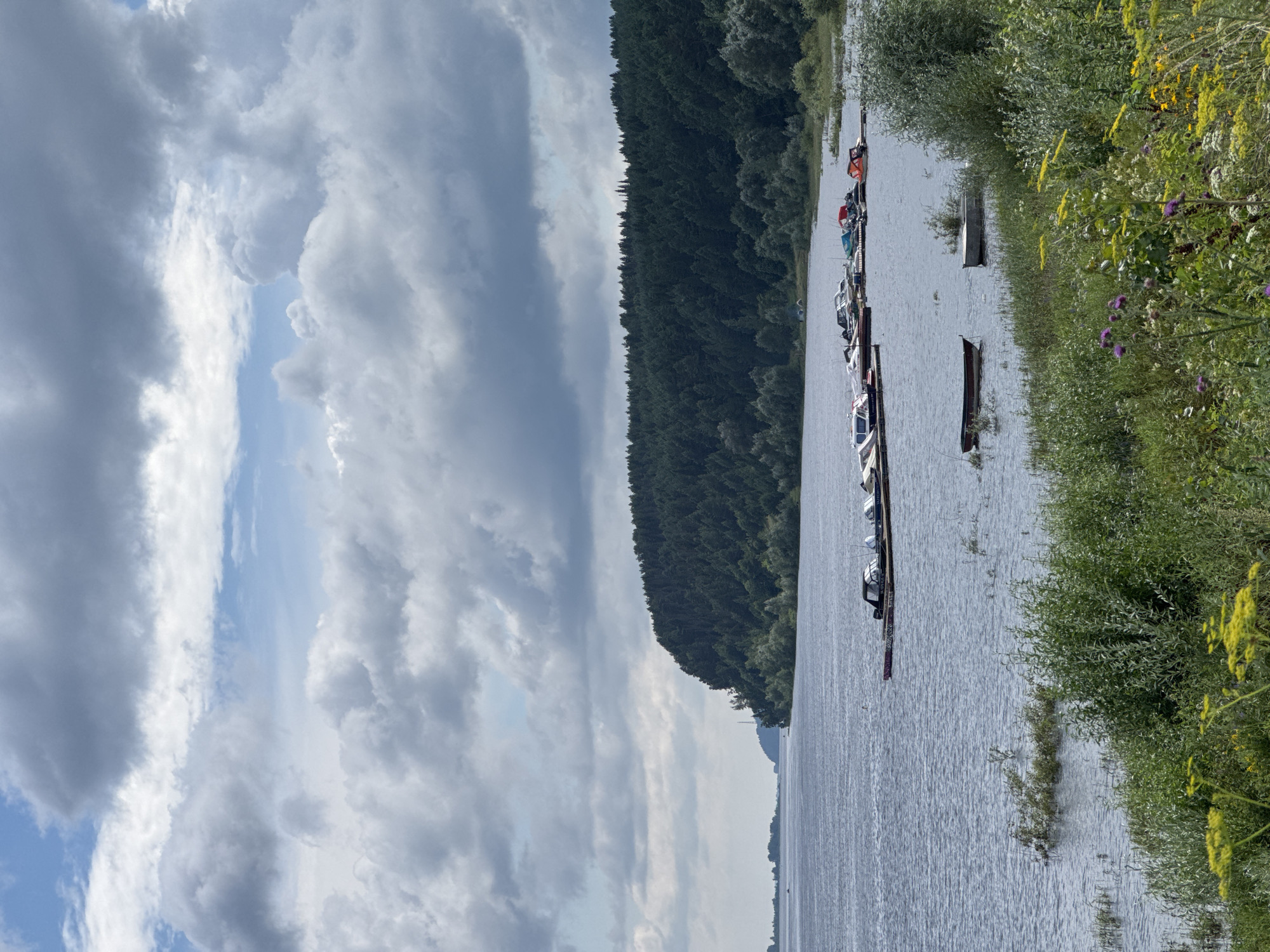 The image depicts a wide, calm river with a dark green, dense forest lining the far bank, which slopes upwards. The sky is overcast with dramatic, textured grey and white clouds interspersed with patches of blue. In the foreground, along the edge of the river, is a lush, green bank with various plants, including yellow wildflowers. Several small boats are moored to a floating dock on the water. One red-brown rowboat is partially submerged and adrift in the water near the foreground bank. The scene is static and appears to be a natural landscape with man-made additions of the boats and dock. The location is identified as Golyanovo, Russia.