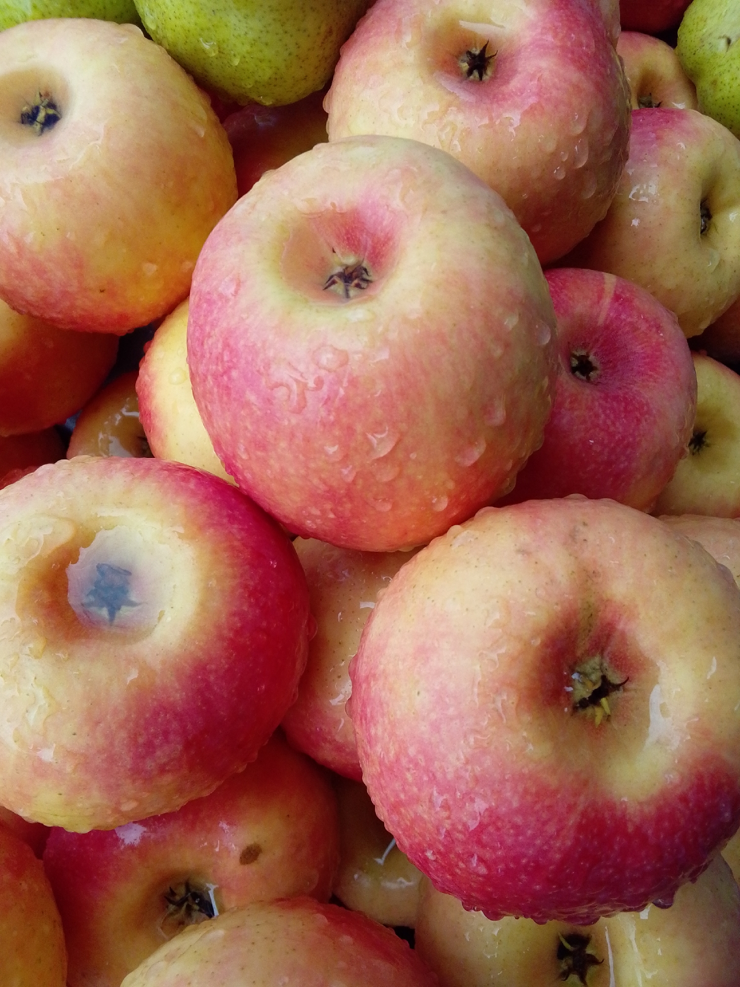 A close-up, overhead shot shows a pile of ripe, red and yellow apples glistening with water droplets. The apples are of various sizes and shapes, with some appearing round and others more elongated. Their skins are smooth and reflective, with visible blemishes or imperfections on some. The lighting is bright, highlighting the texture and moisture on the fruit. The background is a blur of more apples, creating a sense of abundance and depth. The scene appears to be from a market stall in Serti, Nigeria, where fresh produce is commonly sold.