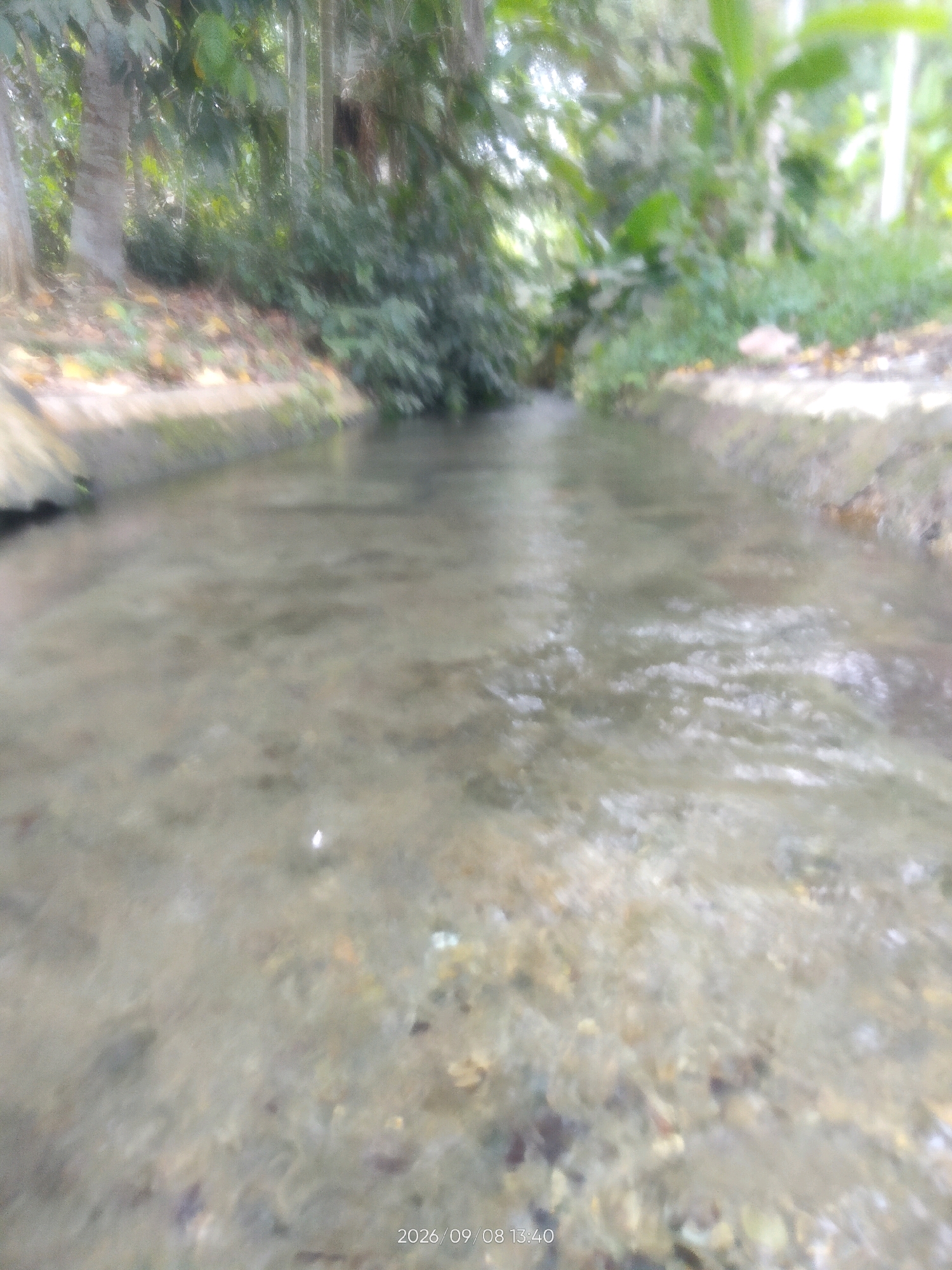 The image depicts a shallow, clear stream flowing through a wooded area. The stream bed is visible and appears to be covered with small stones and pebbles. The banks of the stream are lined with concrete and overgrown with lush green vegetation, including trees and bushes. The water is rippling, suggesting a gentle current. The scene is softly lit, with sunlight filtering through the leaves, creating a dappled effect. The image appears to be a photograph taken outdoors, likely in a natural or semi-natural setting within the city of Tanjung Anom, Indonesia. The date stamp "2026/09/08 13:40" is visible in the lower right corner of the image, but this is a future date and therefore not a factual representation of when the image was taken. There are no people or animals visible in the image.