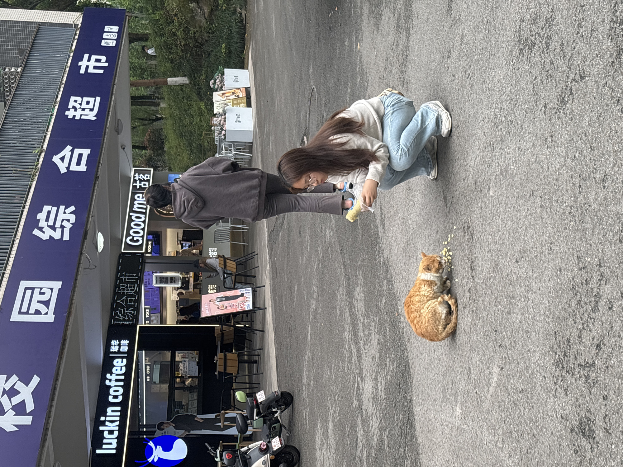 The image shows a scene in the city of Jiangjin, China. A young woman is crouched down, appearing to feed an orange tabby cat on a paved surface. A person stands nearby. The scene is in front of a building, with signage indicating "luckin coffee" and "Good me." There are parked mopeds next to the building.
