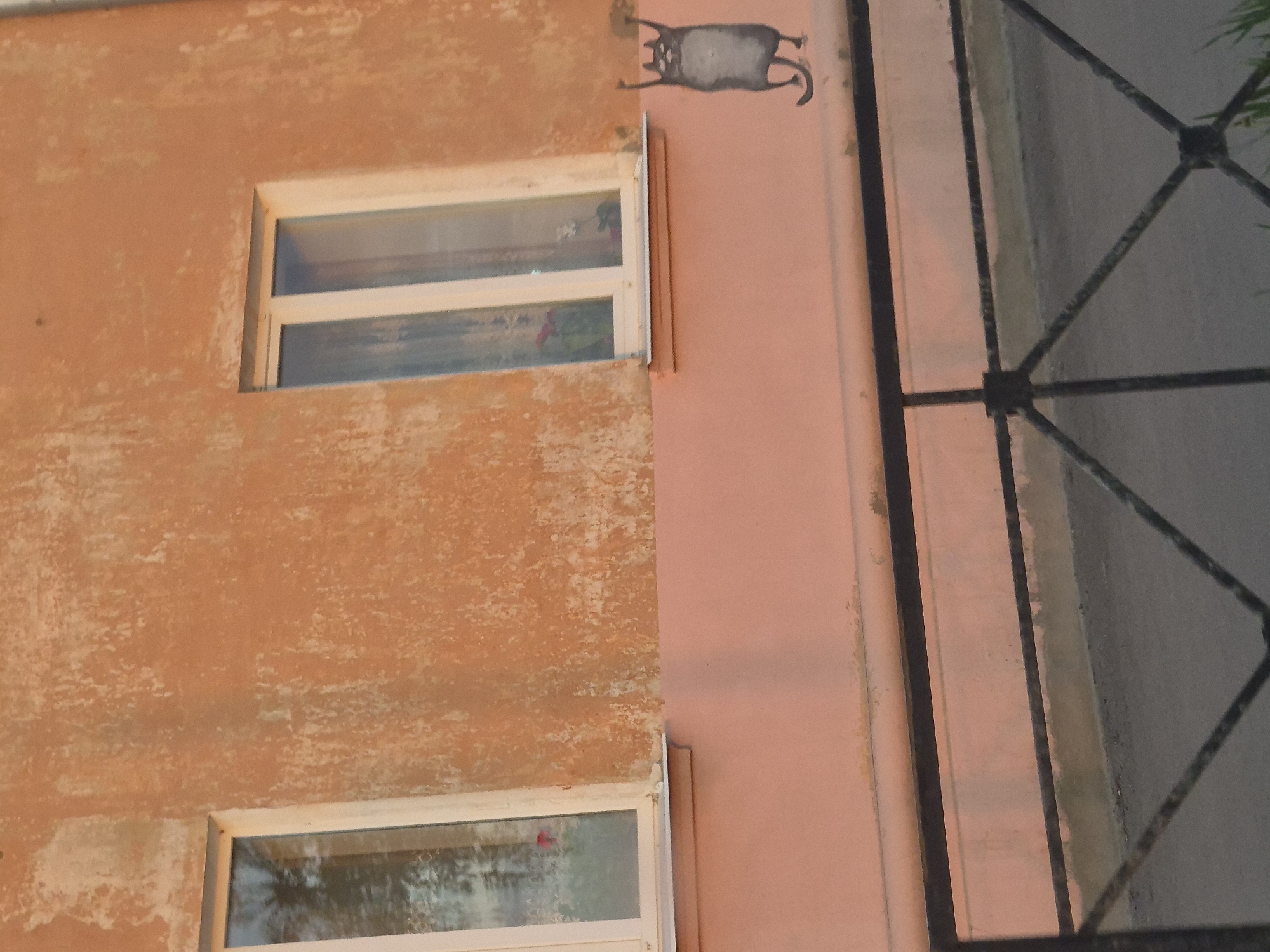 The image captures a fragment of a building in Votkinsk, Russia. The exterior wall, painted in shades of orange and pink, shows signs of aging with patches of worn paint. Two windows with white frames are visible. Above the upper window, a graffiti image of a cat is painted on the wall. A portion of a metal fence or gate is visible on the right side of the frame. The general lighting suggests the photo was taken during the day.