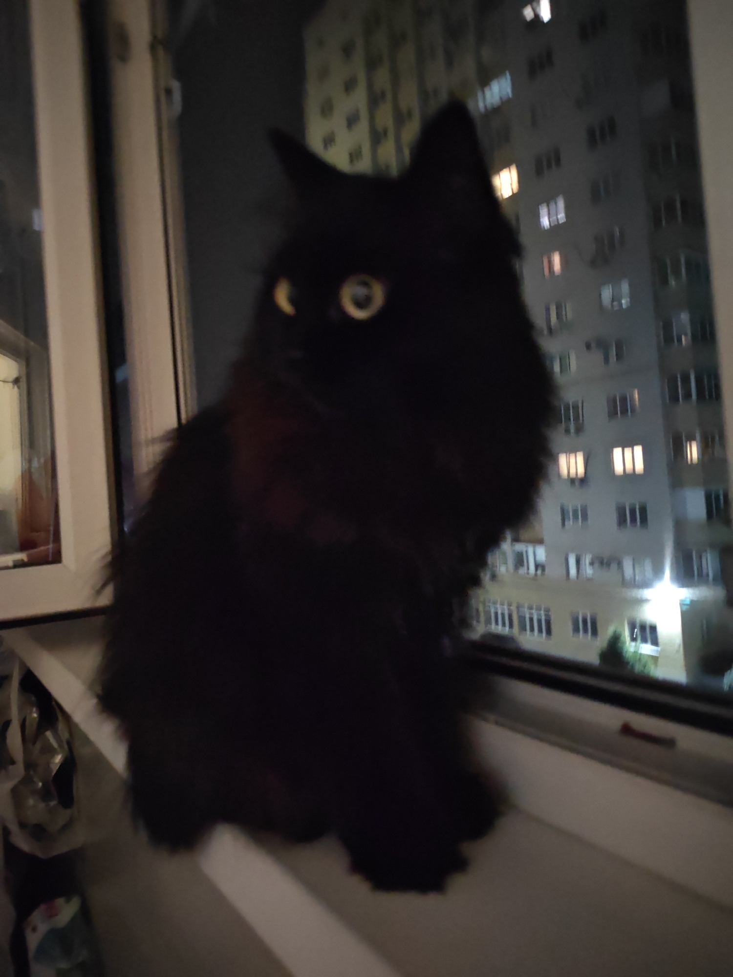 A black cat with yellow eyes sits on a windowsill at night, looking out at a building in Bataysk, Russia. The building is tall and appears to be an apartment building, with many windows lit up from within. The cat is the primary subject of the image, and its fur is dark and fluffy. The windowsill is white and appears to be made of plastic. There are some objects on the windowsill to the left of the cat, but they are out of focus. The background is dark, with the building illuminated by artificial lights. The image is slightly blurry, suggesting it may have been taken with a handheld camera or in low light conditions.