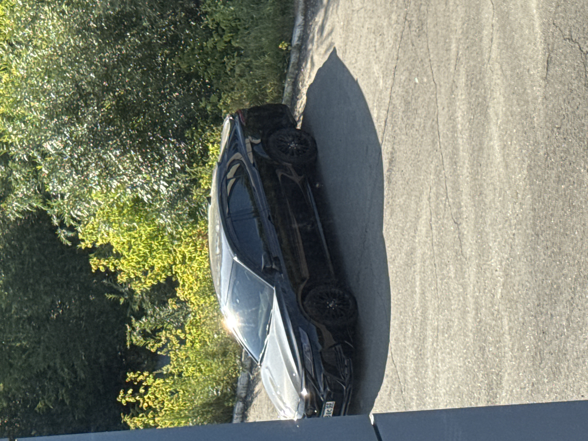 A black sedan is parked on an asphalt surface adjacent to a vegetated area with lush green trees and shrubs. The car is angled, with its front facing left and slightly towards the viewer. The sunlight creates a glare on the car's windshield and hood. A license plate is partially visible on the front of the car, displaying Cyrillic characters and numbers that appear to be "3EC 93". The environment suggests an outdoor setting, possibly a parking lot or roadside, with a concrete curb separating the asphalt from the greenery. The overall scene is illuminated by natural daylight. The provided information states the location is Irkutsk, Russia.