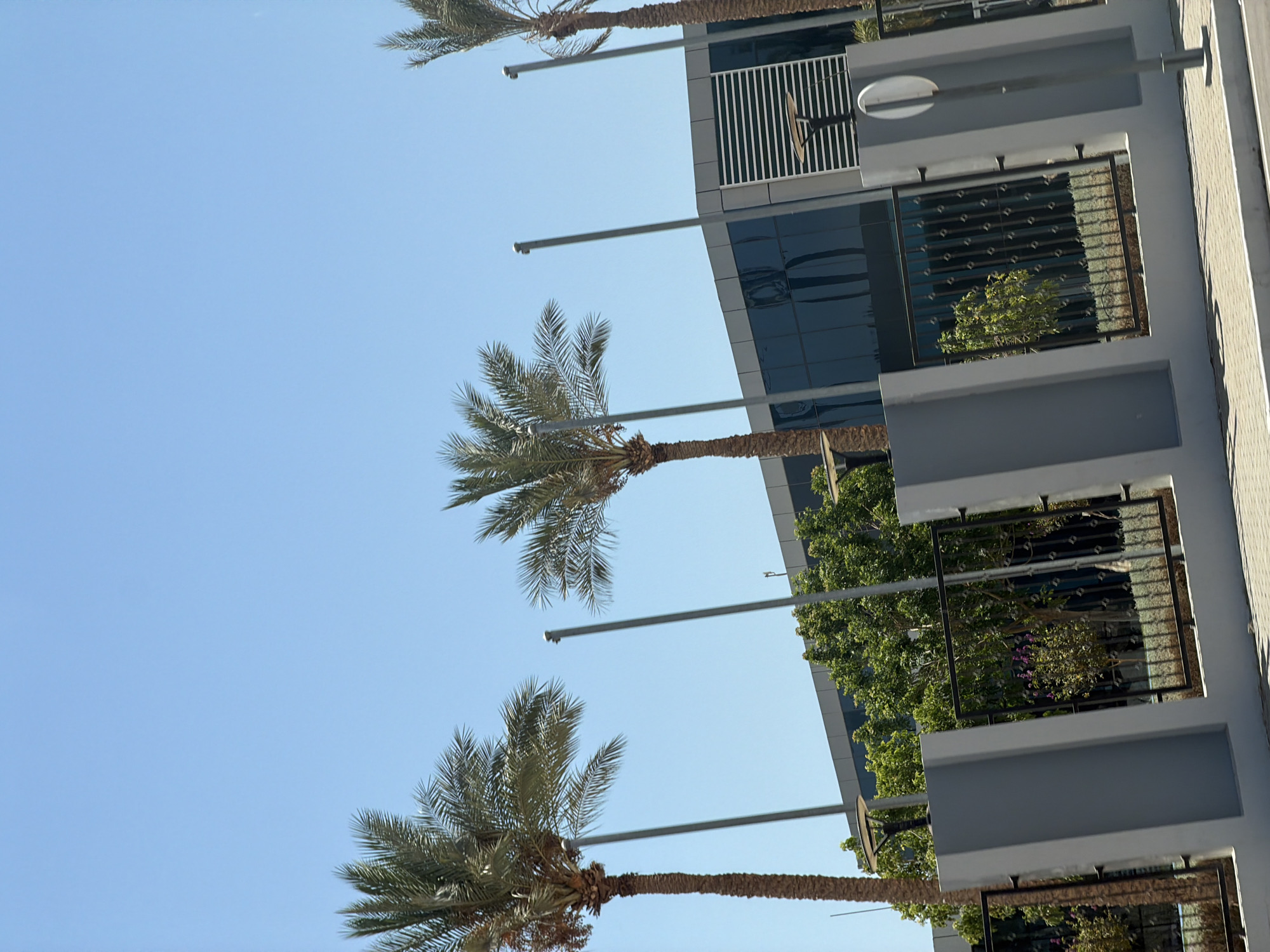 This is a medium-angle, full exterior shot of a modern building in Sharm El Sheikh, Egypt, under a clear blue sky. The building has a dark, reflective glass facade with horizontal silver accents on the right side. In front of the building is a grey concrete wall topped with a black metal fence, behind which are trees and foliage, including some flowering bushes. Several tall palm trees are positioned in the foreground, with their fronds extending into the sky. Three vertical grey poles, likely flagpoles or light fixtures, stand between the palm trees and the building. The scene depicts a sunny day, with the lighting suggesting it's midday or afternoon. There are no people visible in the image.