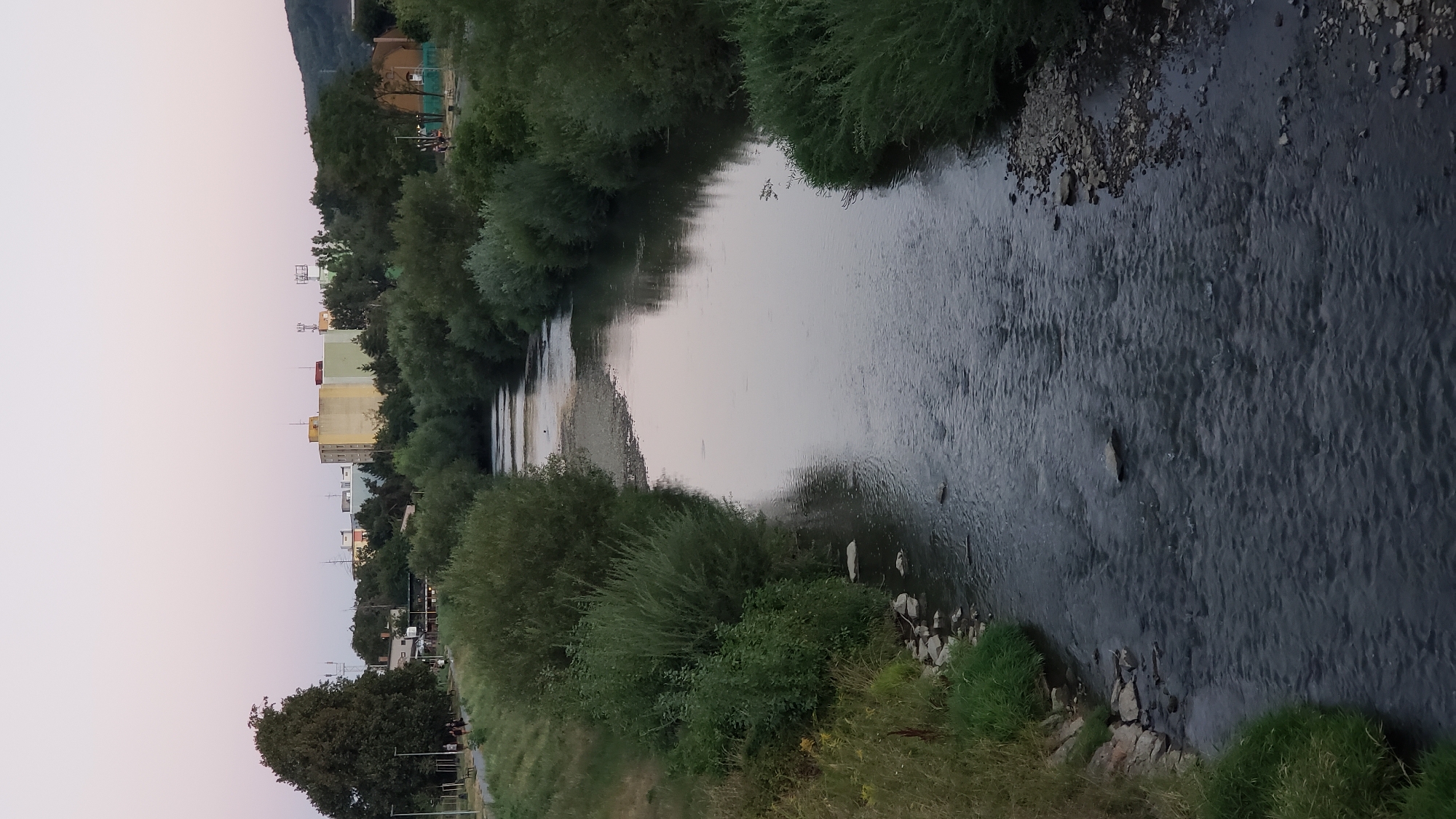 The image shows a view of the Torysa River flowing through the city of Prešov, Slovakia. The river is lined with dense green foliage on both banks. In the background, several buildings are visible, including a light yellow building with a red top, another light-colored building, and some smaller structures, interspersed with trees. The sky above is a soft gradient of pink and pale blue, indicating either dawn or dusk. On the left bank, a grassy area with a paved path is visible, with a few people walking. The riverbed is partially exposed in some areas, with visible rocks and sediment. The overall scene depicts a natural element integrated within an urban environment.