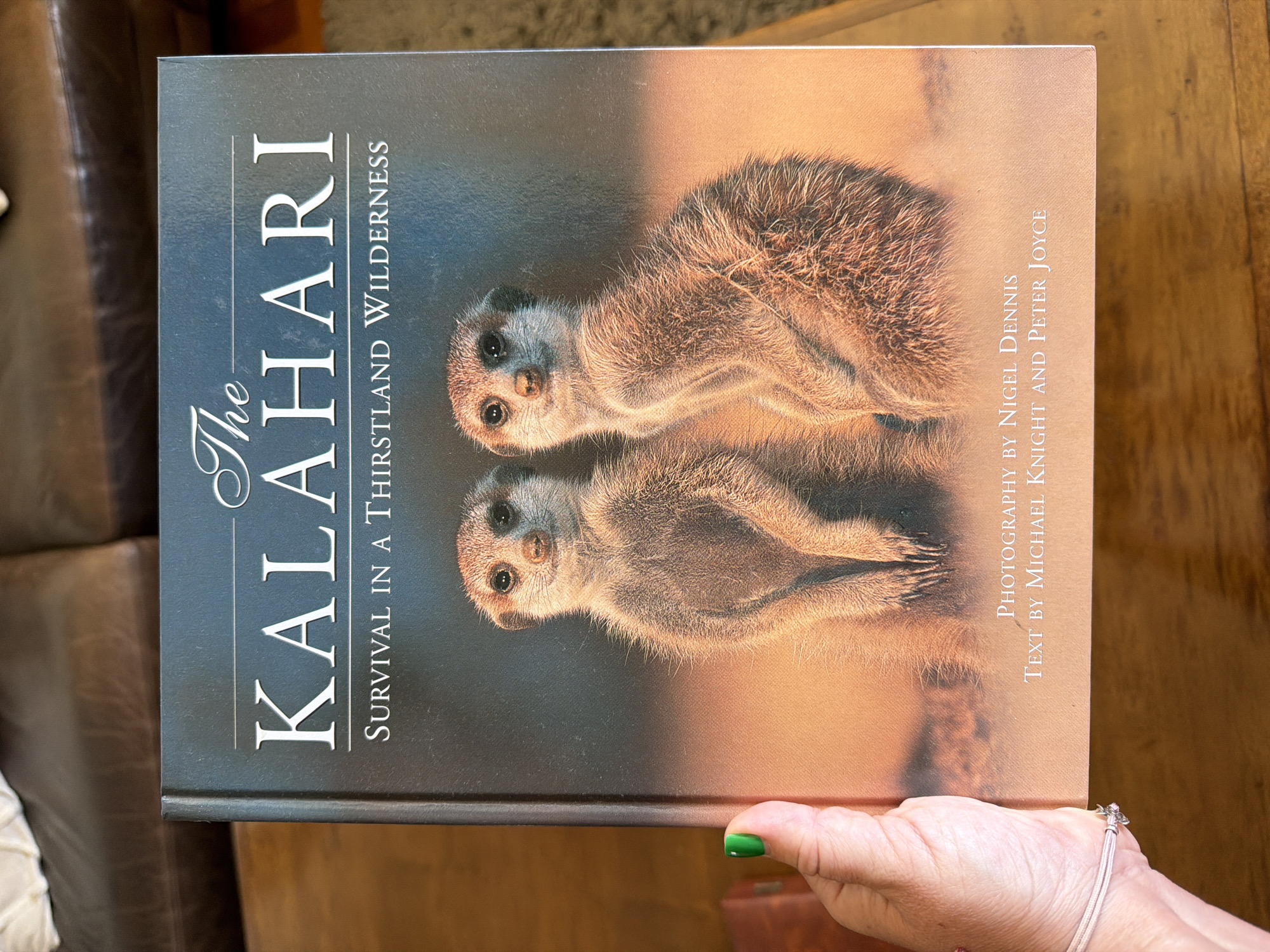 The image shows a book titled "The Kalahari: Survival in a Thirstland Wilderness," featuring two meerkats on the cover. The text "PHOTOGRAPHY BY NIGEL DENNIS," and "TEXT BY MICHAEL KNIGHT and Peter JOYCE" is visible on the right side of the book. The book is being held by a hand with a green painted fingernail on one finger, and a light-colored bracelet can be seen around the wrist of the person holding the book. The background appears to be a wood table and a part of a dark brown leather couch. The location in Cape Town, South Africa is not evident from the image, and therefore can not be concluded.