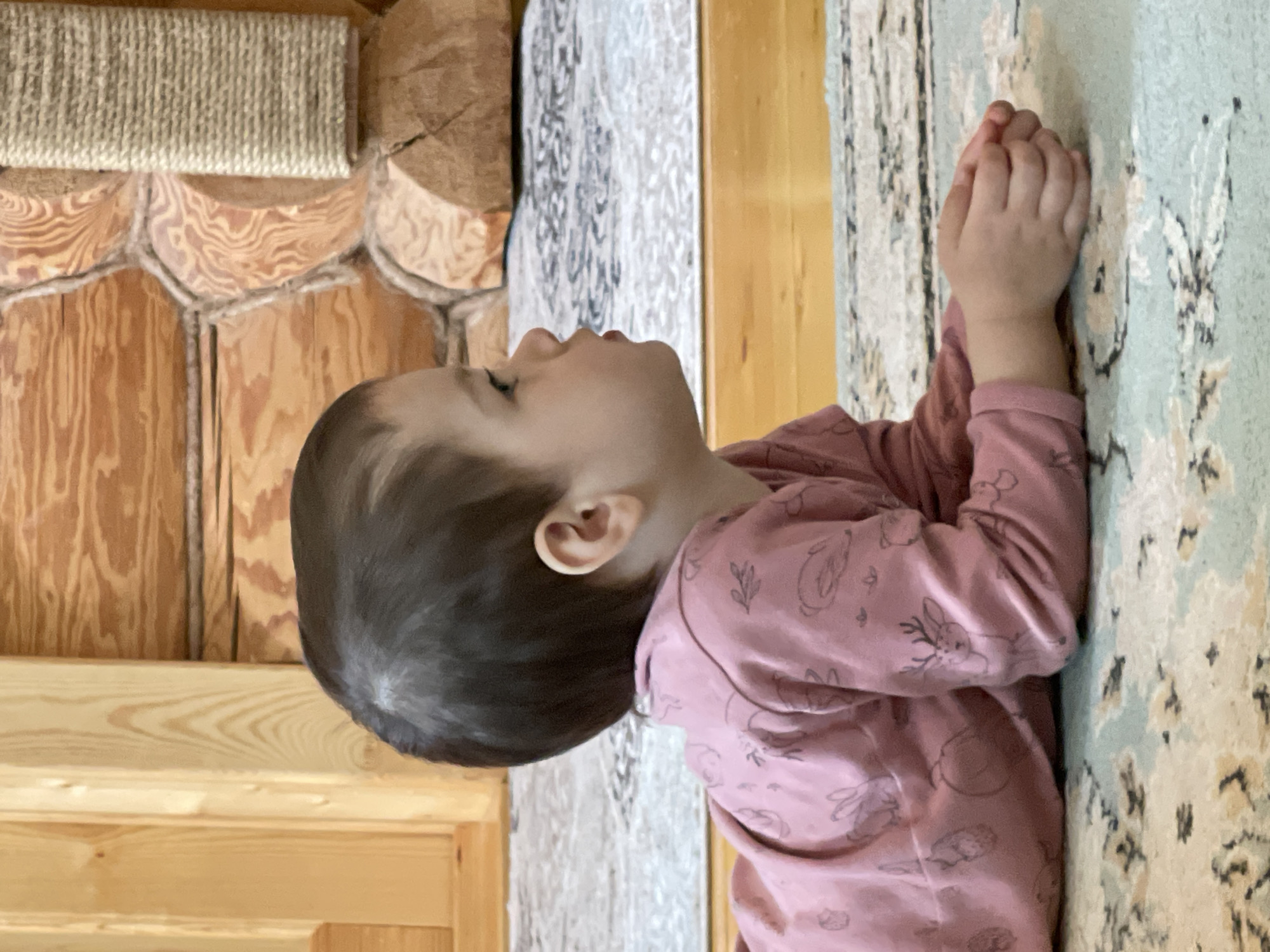 A toddler lies on a patterned rug indoors, wearing a pink long-sleeved shirt with cartoon animal prints. The location is unknown and cannot be determined from the image. The surrounding environment shows wooden paneled walls and what appears to be a cat scratching post attached to the wall. The child is looking upwards with hands clasped together.