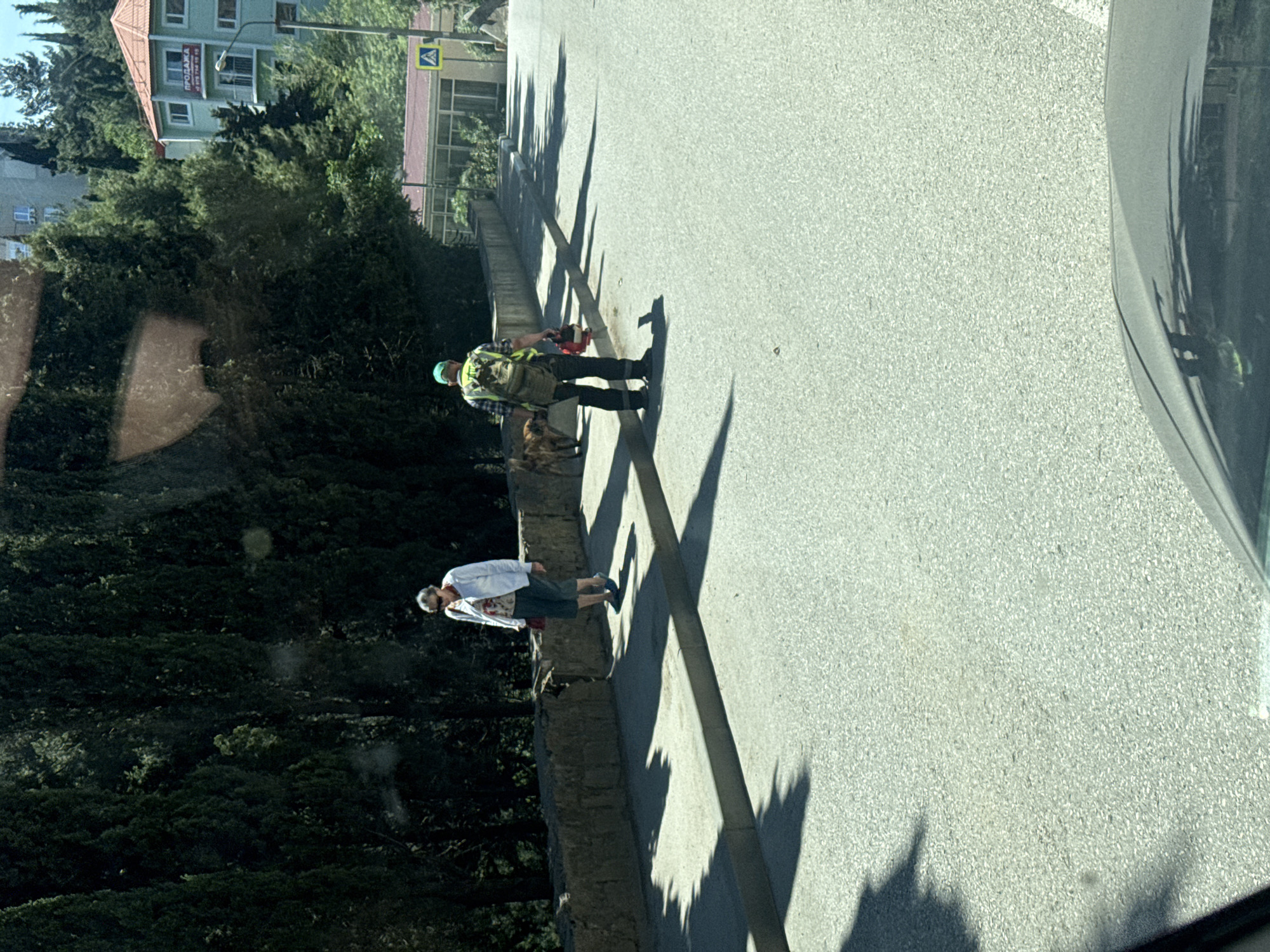 The image depicts an outdoor scene taken from inside a vehicle, looking towards a paved road that runs uphill and slightly curves to the left. The perspective is rotated 90 degrees counter-clockwise in the original photo; when viewed correctly, the road stretches horizontally across the mid-ground.
On the right side of the road, two individuals are visible. Closer to the foreground, a person wearing a bright green or yellow high-visibility vest over a checkered shirt, dark pants, and a light blue cap is seen carrying a backpack and what appears to be a small, red and silver power tool, possibly a leaf blower or trimmer. A medium-sized, tan and brown dog stands next to this person. Further down the road, another person, possibly older, is standing by the low stone wall that lines the road, dressed in a white long-sleeved shirt and dark trousers.
The road surface is light grey asphalt. Long, distinct shadows of unseen trees and objects stretch across the road, indicating a sunny day in the morning or late afternoon. To the left of the road and below the stone wall, a dense area of dark green trees and bushes slopes downwards. In the background, beyond the trees, several multi-story buildings with light blue/green facades and red tiled roofs are visible.
A yellow pedestrian crossing sign is seen on the far right of the background. On one of the buildings, text is visible: "ПРОДАЖА" (PRODAZHA), which means "FOR SALE" in Russian, along with a phone number that is partially obscured but starts with "4 799". A reflection of the car's interior or window frame is visible on the far right of the image.