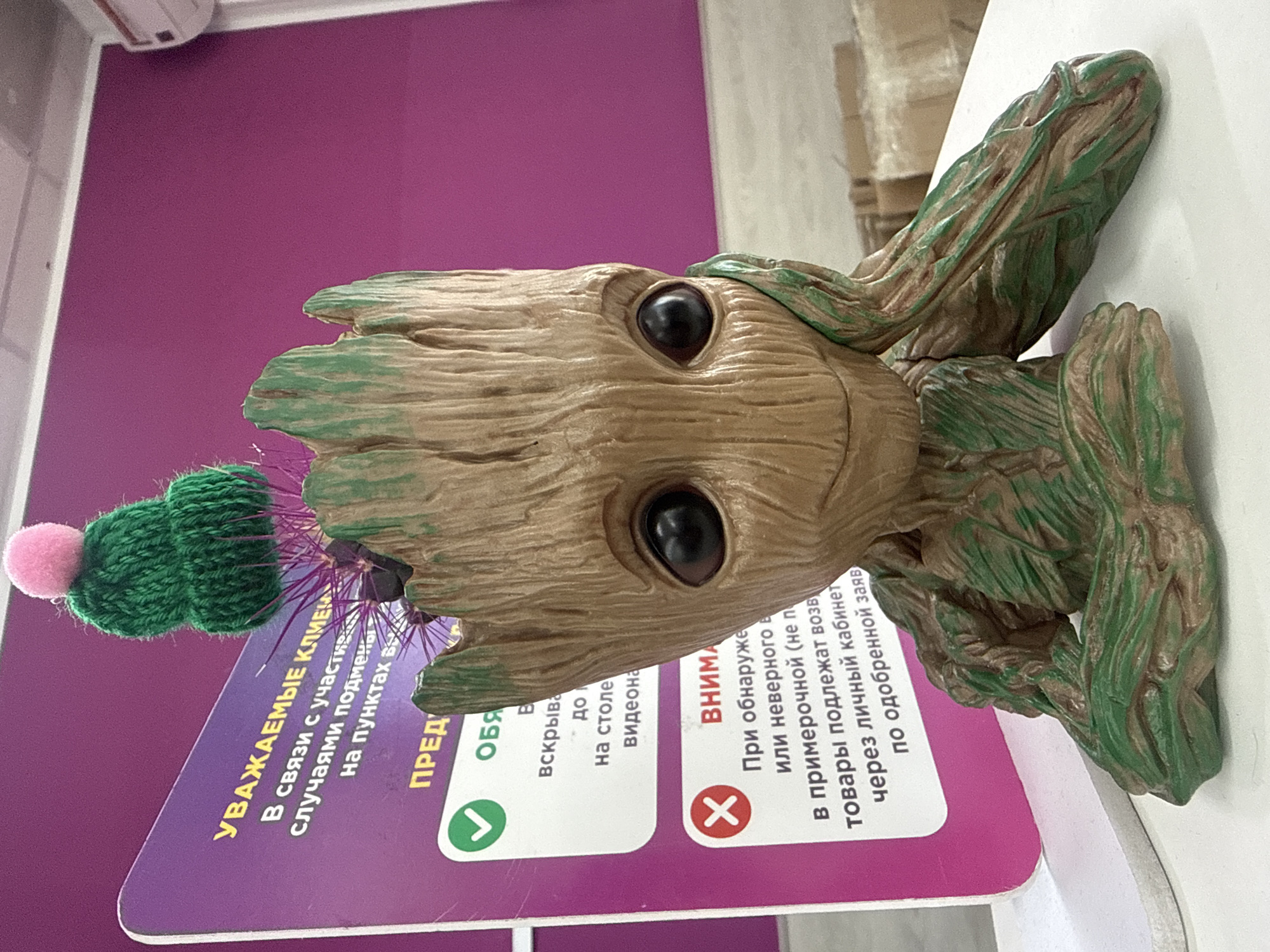 Here's a detailed description of the image:
**Subject:** A plastic Groot figure (character from the Guardians of the Galaxy) is the primary subject. It is a bust with a wooden-like texture and green accents. It also has a small, hand-knitted green hat with a pink pom-pom on its head.
**Location:** The scene appears to be inside a retail environment, possibly a store. The Groot figure sits on a white surface, likely a shelf or counter. A magenta-colored information sign is placed behind the figure.
**Objects:**
* The information sign has Russian text and a green check mark in a circle on the left. On the right, it has a red X mark in a circle.
* The background is a plum or dark pink wall.
* There's a glimpse of a window on the left side of the frame.
* A white ceiling is visible in the top left corner.
**Environment:** The lighting appears to be artificial and fluorescent, typical of a retail space.
**Overall Impression:** The scene is a close-up shot of a retail item on display, with an informational sign in the background. The Groot figurine is the main focus of the image.