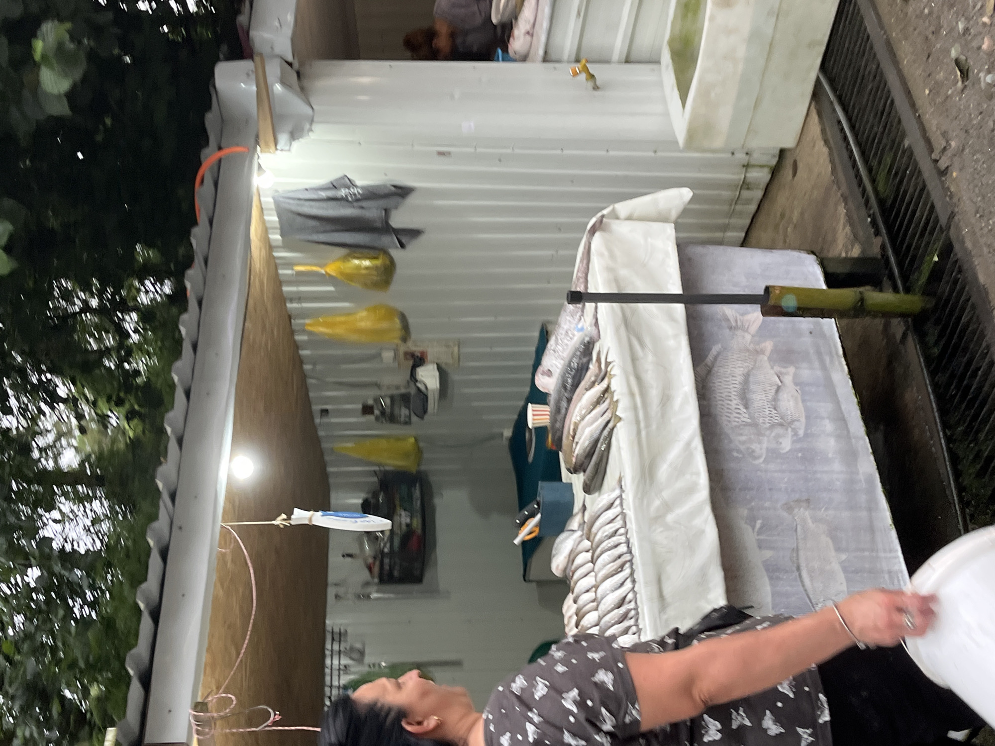 A woman stands in front of a market stall displaying fresh fish for sale. The stall is covered by a corrugated roof supported by white posts. Yellow bags and grey clothing hang from the ceiling of the stall. The woman, wearing a dark t-shirt with a white butterfly pattern, holds a white bucket and appears to be looking towards the fish. The fish are arranged neatly on a white tablecloth covering a table. Behind the table, a blue bin with utensils is visible. The environment suggests an outdoor market setting, with a metal grate in the foreground and trees in the background. A second person, partially obscured, is visible inside the stall. The scene is located in the municipality of Ghrmaghele, Georgia.