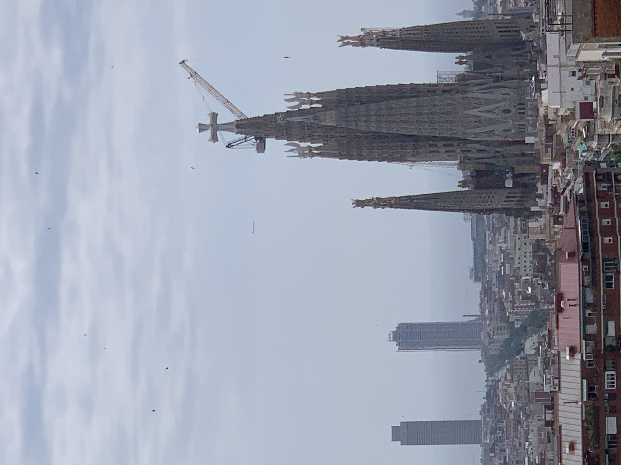 This image, taken from an elevated perspective in Barcelona, Spain, captures a panoramic view of the city skyline. Dominating the right side of the frame is the Sagrada Familia, a basilica undergoing construction, as evidenced by the presence of a large crane with a cross atop one of its spires. The basilica's unique architectural style, characterized by its numerous towering spires, is clearly visible. In the background, two modern skyscrapers stand out against the hazy sky, suggesting a contrast between historical and contemporary architecture. The foreground is filled with a dense urban landscape of residential buildings with red-tiled roofs. Birds are visible in the sky, and a distant airplane can be seen. The overall lighting suggests an overcast day.