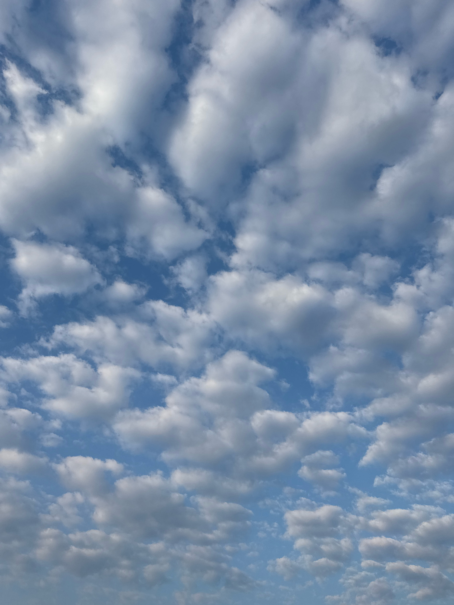 The image depicts a clear blue sky filled with scattered, fluffy white cumulus clouds. The clouds vary in size and density, with some appearing more defined and others more wispy. The perspective is looking upwards towards the sky, suggesting the photograph was taken from ground level. The lighting indicates it is daytime, likely midday or afternoon, given the brightness of the clouds. There are no discernible landmarks, buildings, or individuals visible, placing the scene in an open-air environment. No specific details about Mejaniga, Italy, are discernible from the image itself.