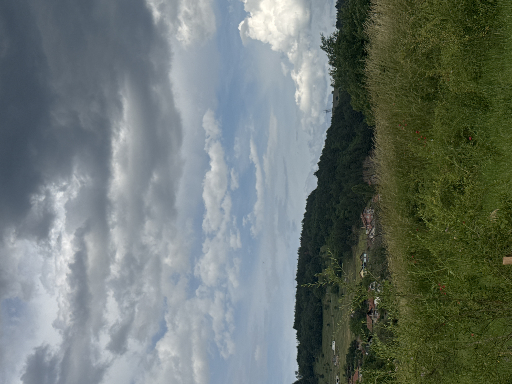 The image shows a rural landscape in the vicinity of Dragovishtitsa, Bulgaria. In the foreground, tall green grass and foliage dominate, with some red poppies visible. Behind the grassy expanse, a wooded hillside rises, topped with a dense forest. On the slopes of the hill, a scattering of houses and buildings can be seen, indicative of a small village or rural settlement. The sky above is overcast with dramatic, heavy clouds, suggesting a possibly stormy or changing weather condition. A power line pylon is visible on the crest of a distant hill. The overall scene depicts a tranquil yet somewhat moody natural environment.