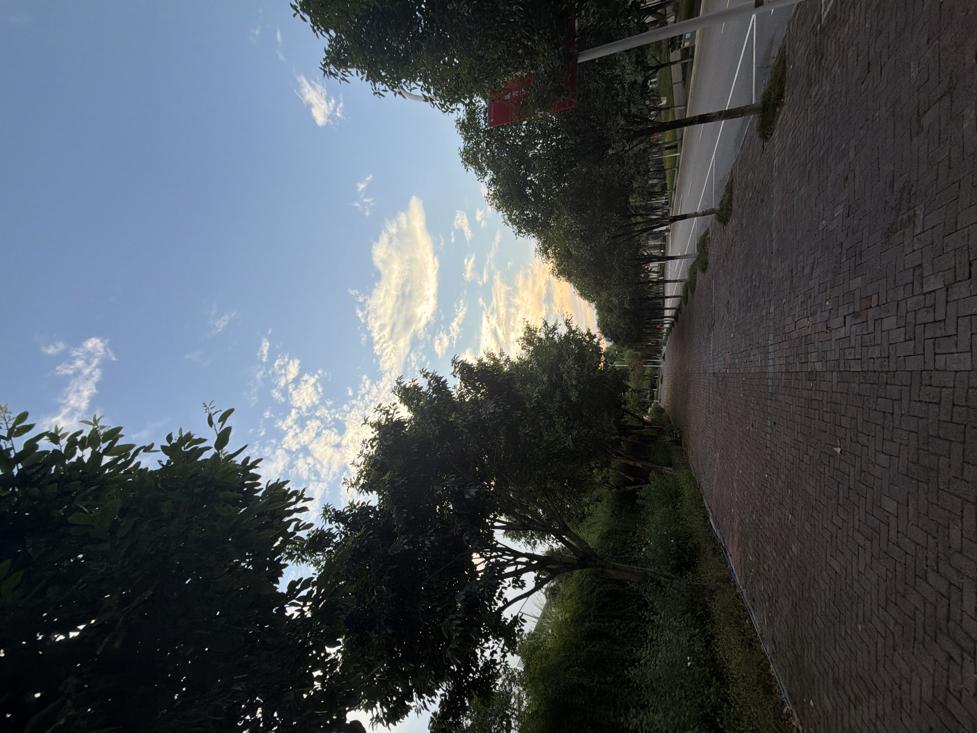 The image depicts a paved walkway lined with trees on both sides, bordering a road. The sky above is a blend of blue and white clouds, with a hint of sunset colors near the horizon. The walkway is constructed of dark brick pavers laid in a herringbone pattern. The trees are deciduous, with full canopies of green leaves. On the left side of the walkway, there is a dense hedge of green foliage. On the right side, there is a road with a white lane marking and streetlights. A red sign is visible attached to a pole on the right. The scene appears to be a public space, possibly a park or a street in a residential area, in Jiangjin, China. There are no people or animals visible in the image.