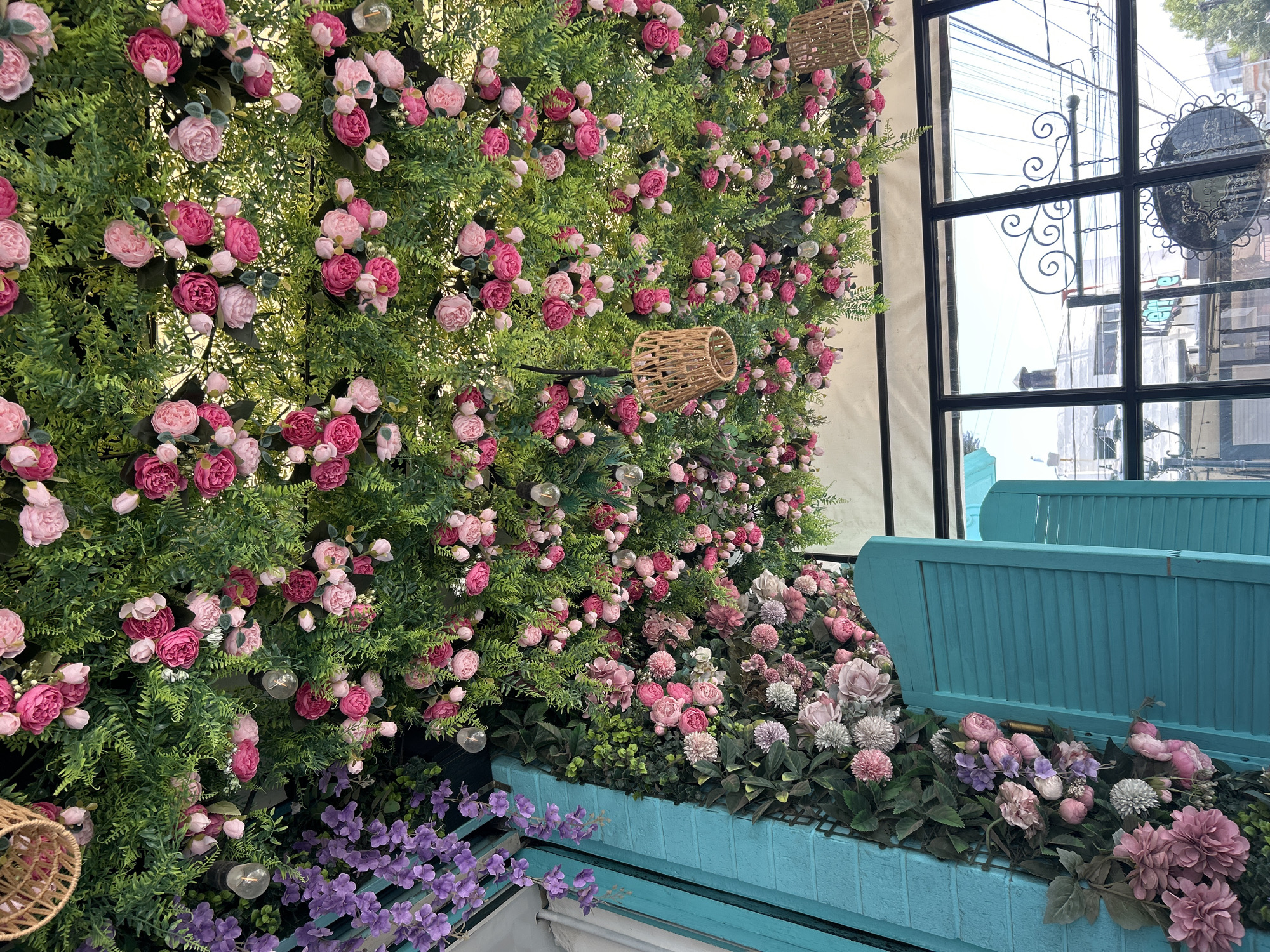 This image captures a vibrant and artificial floral display, likely an interior or semi-outdoor decorative wall of a cafe, shop, or restaurant. The main subject is a large vertical garden wall covered densely with artificial green foliage resembling ferns, interspersed with numerous clusters of artificial roses and peonies in shades of light pink and darker fuchsia. Small, spherical glass lights and two woven, basket-like decorative fixtures are embedded within the greenery.
Below this wall, there's a planter box or raised garden bed painted in a bright turquoise or teal color, filled with a variety of other artificial flowers. These include purple, lavender-like blossoms, light pink and white chrysanthemum-like flowers, and larger pink dahlia-style blooms. Behind this lower floral arrangement, two turquoise slatted structures, possibly the backs of benches or chairs, suggest a seating area.
To the right, a large window with black frames reveals an urban outdoor scene. Through the glass, utility wires crisscross against a bright sky, and the upper parts of buildings are visible. A dark, ornate circular sign, possibly for a business, hangs outside, though any text on it is illegible due to distance and resolution.
The time of day appears to be daytime, indicated by the bright light coming through the window. There are no people visible, and no specific activity is taking place other than the static display of the decorative elements. The overall impression is one of a cheerful, visually rich, and inviting space. The location is unknown.