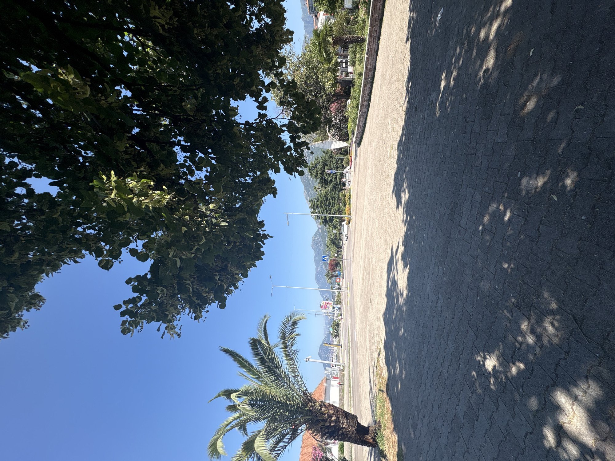 A palm tree is on the left side of the image, with a paved walkway in the foreground. A street is visible in the background with a few cars and mountains in the distance. The sky is clear and blue. The scene appears to be located in the city of Bar, Montenegro, possibly near the waterfront.