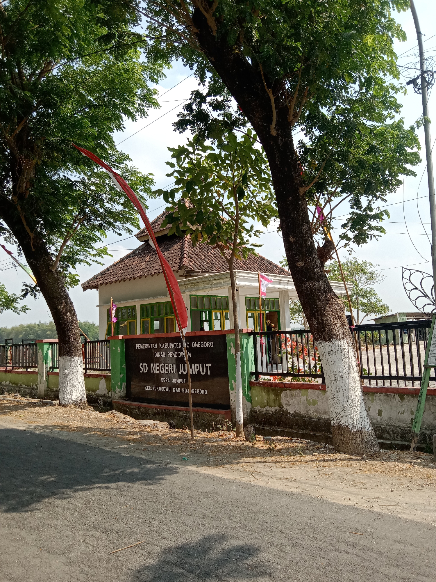 The image shows the exterior of SD Negeri Jumput, a public elementary school located in Jumput village, Sukosewu sub-district, Bojonegoro regency, Indonesia. In the foreground, a paved road is visible with shadows cast by trees. Two large trees with white-painted bases stand prominently on the left and right sides of the frame, partially obscuring the school building. A black sign with white text is positioned in front of the school's fence, displaying "SD NEGERI JUMPUT" along with details about its location. The school building itself has a tiled roof and windows with green and yellow frames. A fence with vertical metal bars surrounds the school grounds, and red and white flags are visible, one prominently displayed on a pole. The environment appears sunny with a clear sky and some power lines overhead.