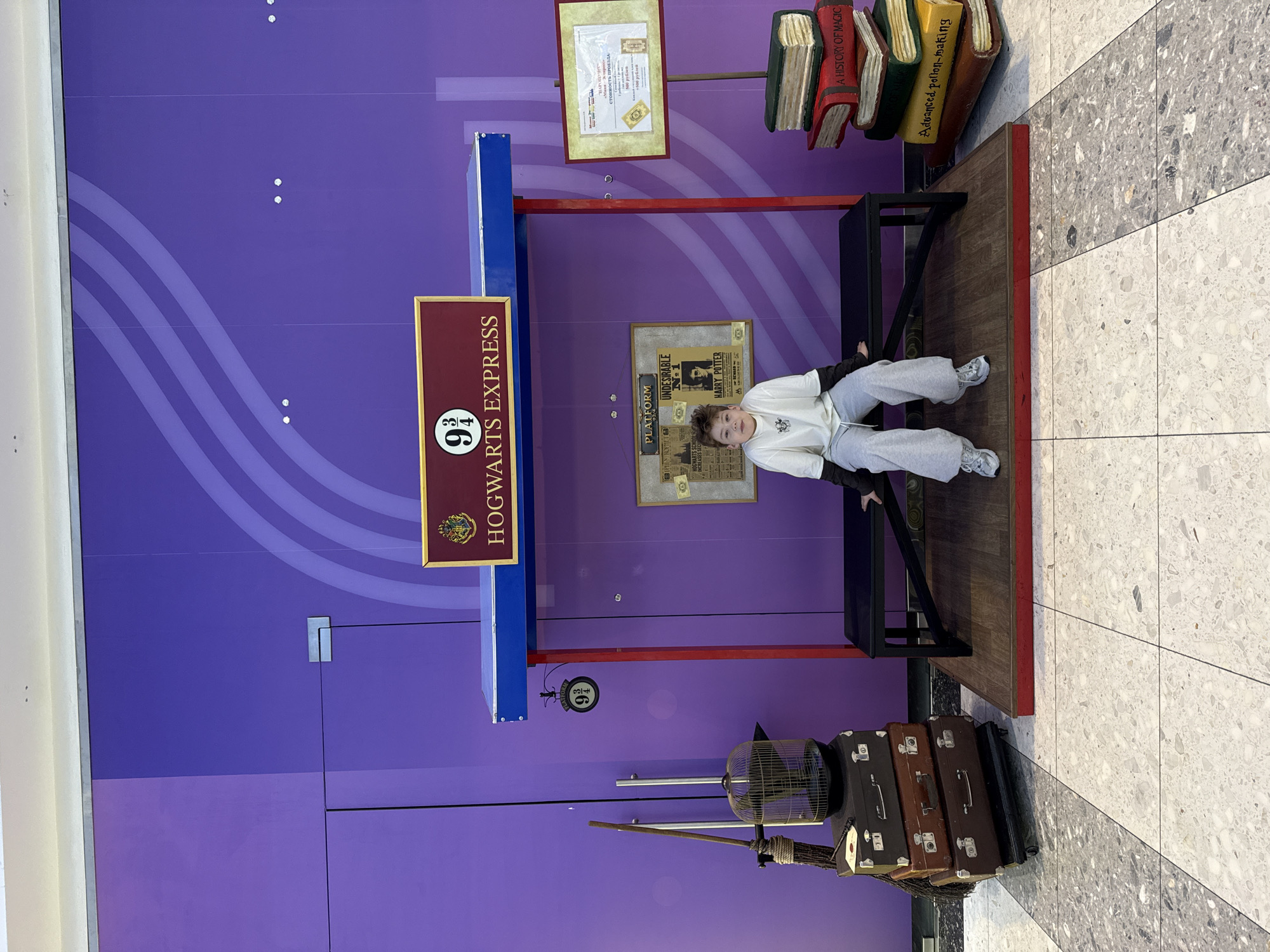 The image depicts a staged scene resembling Platform 9 3/4 from the Harry Potter series. A young boy is sitting on a luggage cart, dressed in a white top and grey pants. Behind him is a purple wall with the "Hogwarts Express" sign prominently displayed above. Additional elements include a framed poster with a Daily Prophet headline about Harry Potter, a framed certificate, a stack of books, and a pile of vintage suitcases with a birdcage on top. The setting appears to be indoors, with a tiled floor in the bottom right corner of the image. The specific location within Родниковское сельское поселение, Ukraine, cannot be definitively determined from the visual information.