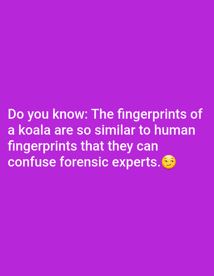 The image displays text on a purple background. The text reads, "Do you know: The fingerprints of a koala are so similar to human fingerprints that they can confuse forensic experts." There is a smiling emoji to the right of the text. The background is a solid, vibrant purple color. There are no people, subjects, objects, or actions depicted in the image other than the text and emoji. The environment is not specified and cannot be inferred from the image.