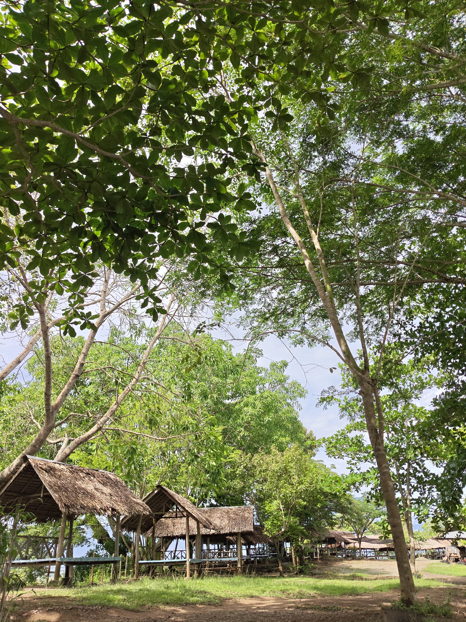 The image depicts a series of nipa hut structures in an outdoor setting within Lambarotunong, Indonesia. The huts have thatched roofs and are supported by wooden or bamboo frames, with tables and benches visible inside some of them. The ground is covered in grass and dirt. The scene is heavily shaded by numerous trees with green foliage overhead, partially obscuring the sky.