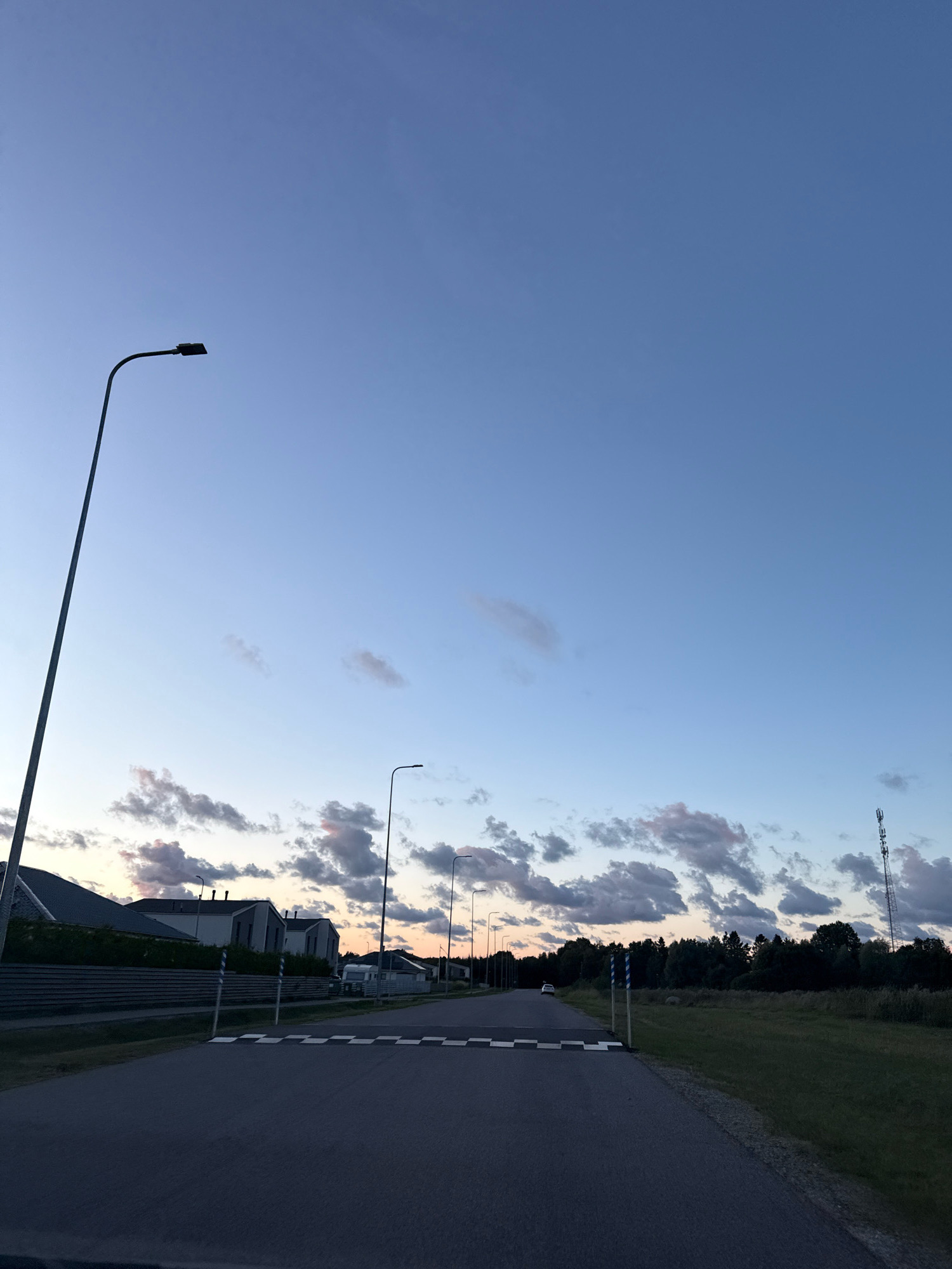 The image depicts a street scene in Alliku, Estonia, at dusk. The sky is a gradient of pale blue and light purple, with scattered clouds. A dark asphalt road extends into the distance, marked with a pedestrian crossing. On the left side of the road, several modern houses with peaked roofs are visible, separated by a low fence. Streetlights line the road. On the right, a field of green grass meets a dense line of dark green trees. Further in the distance on the right, a tall telecommunications tower stands against the twilight sky. The overall atmosphere is calm and suburban. There are no people or vehicles immediately visible in the frame.