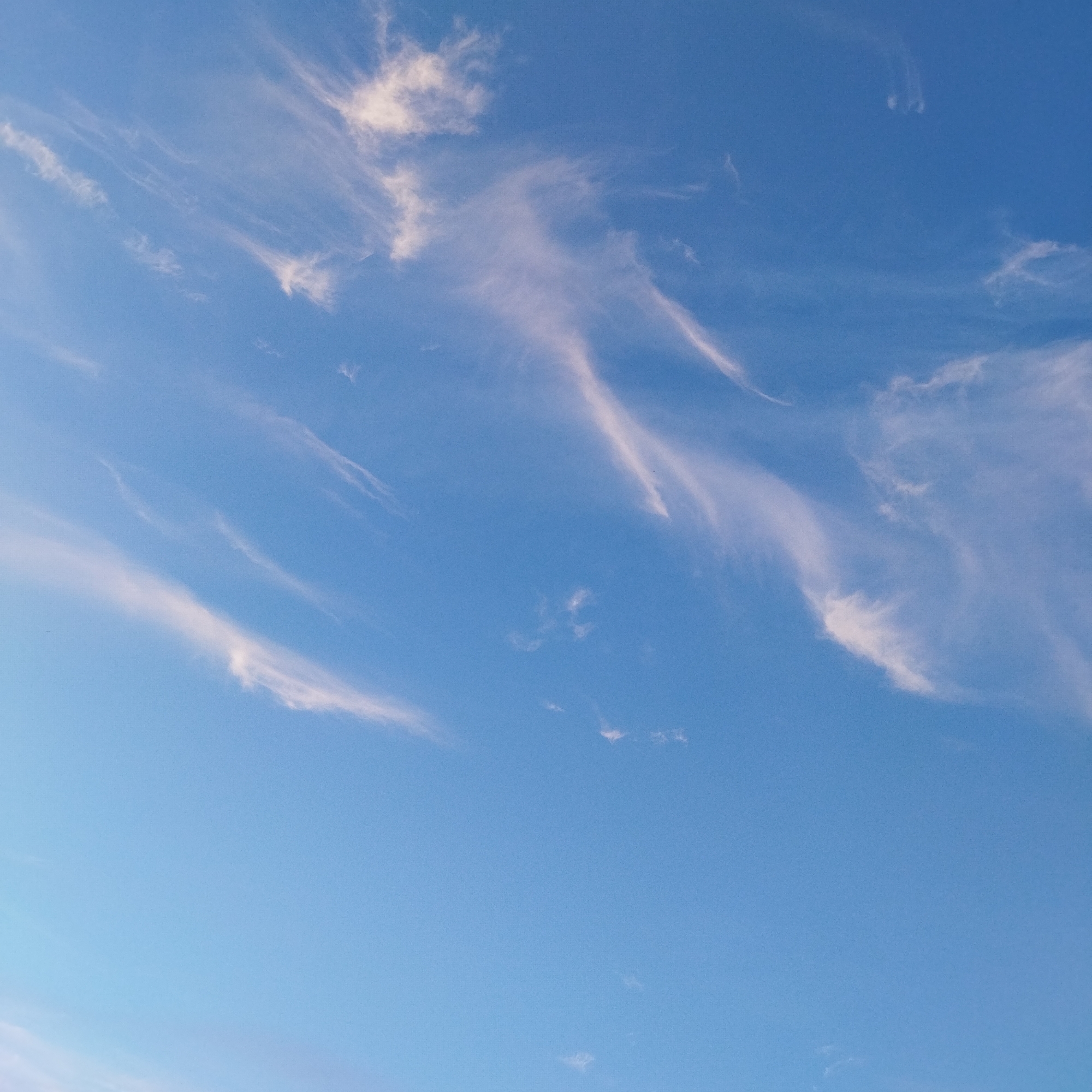 A wide shot captures a clear blue sky filled with wispy, elongated clouds. The clouds are scattered across the frame, with some appearing thin and feathery, while others are more consolidated and opaque. The lighting suggests it is daytime, with the sun likely behind the viewer or to the side, casting a soft illumination on the clouds. No identifiable landmarks or elements of Polatsk, Belarus are visible in this image, suggesting the photo was taken without any specific urban context.