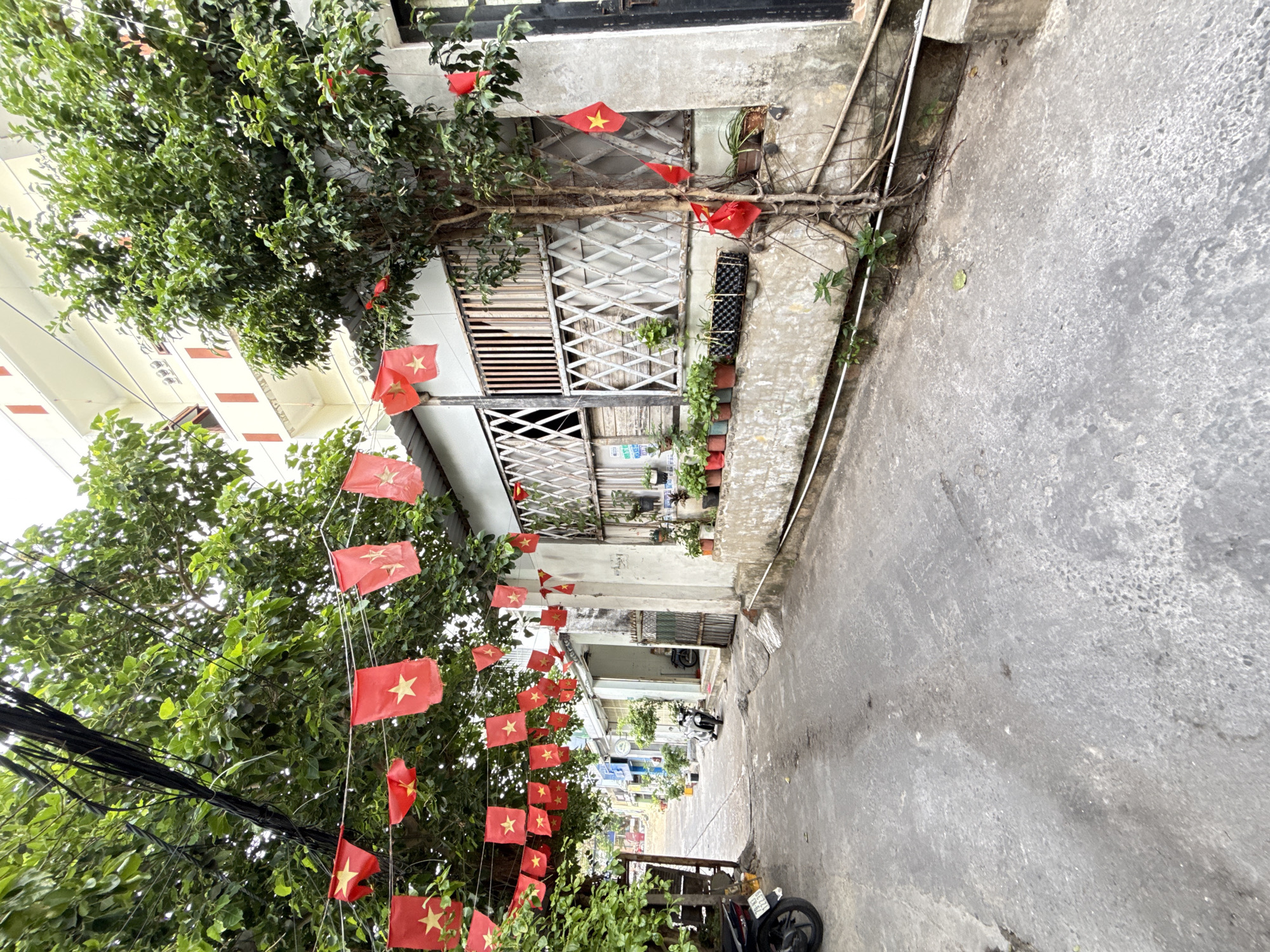 The image depicts a narrow, paved alleyway in Nha Trang, Vietnam, lined with buildings and vegetation. Red and yellow Vietnamese flags are strung across the alley, draped from trees and buildings, suggesting a festive or nationalistic occasion. Several motorbikes are parked along the sides of the alley, a common sight in Vietnamese cities. The buildings appear to be a mix of residential and commercial, with some exhibiting signs of age and wear. The overall atmosphere is one of everyday life in a bustling urban environment, with a touch of national pride displayed through the abundant flags. The lighting suggests it is daytime, with an overcast sky.