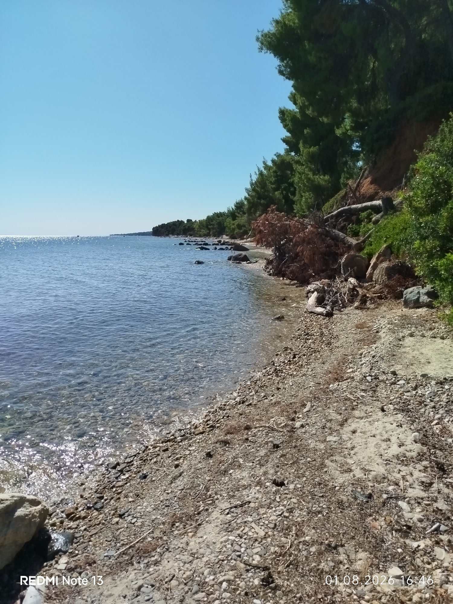 The image shows a rocky shoreline with clear, shallow water on the left. The water is calm and reflects the bright blue sky. The shoreline is covered in pebbles and small stones, with some larger rocks and driftwood scattered along the edge. Behind the shoreline, there is a dense line of green trees, with a steep, eroded embankment covered in vegetation. The sky is clear and bright, indicating a sunny day. The timestamp "01.08.2026 16:46" is visible in the lower right corner, and "REDMI Note 13" is visible in the lower left corner. The scene appears to be a natural, undeveloped coastal area.