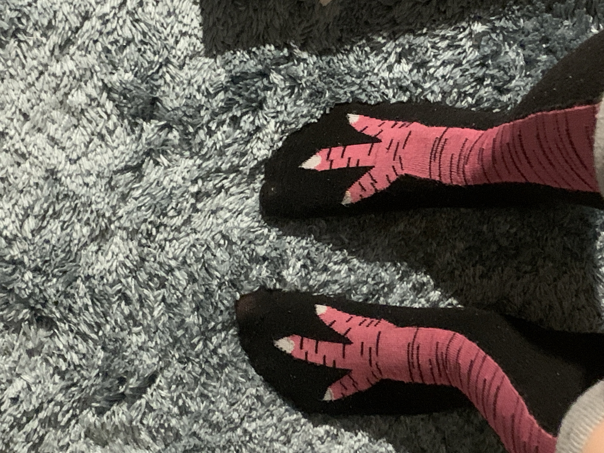 The image shows a pair of feet clad in black socks with pink, stylized chicken leg and foot designs, resting on a gray shaggy rug. The location in the city of Vozdovac Urban Municipality, Serbia is not discernible from the given image.