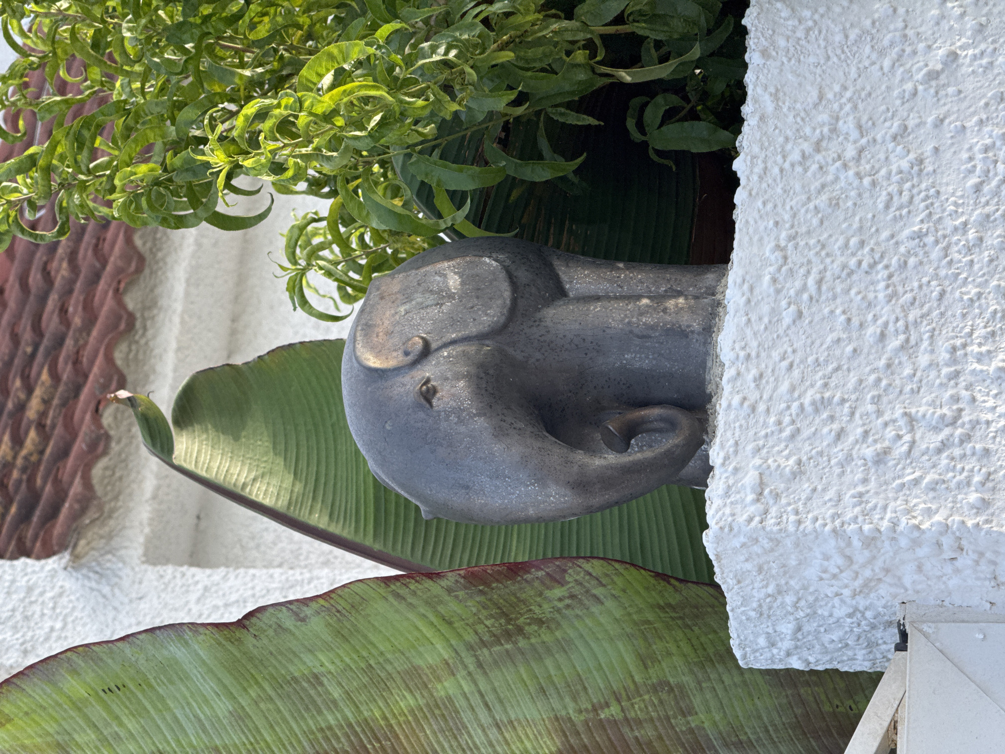 The image shows a close-up of a weathered, dark gray elephant statue with a curled trunk and detailed ears, positioned on a rough, white textured concrete ledge. Behind the statue, large, textured green banana leaves are visible, some with reddish-brown markings. Further back, lush green foliage with delicate, curly leaves obscures a portion of the background. A glimpse of a terracotta tiled roof with red tiles is visible at the top of the frame, suggesting an outdoor setting. The scene appears to be an exterior detail within a residential or garden area in Torrevieja, Spain, likely a decorative element in a yard or on a patio. There are no people or animals present in the frame.