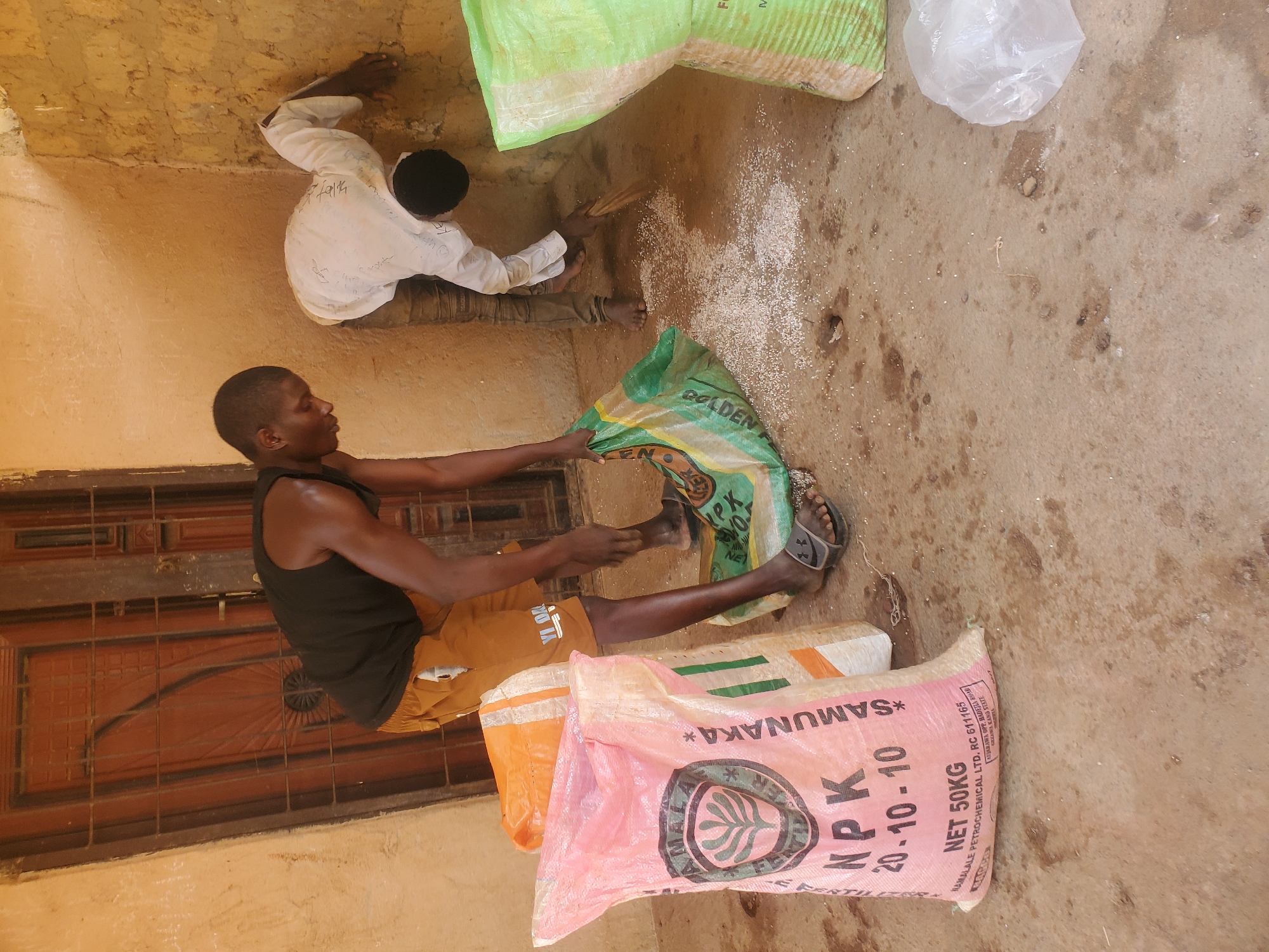 In Wumat Central, Nigeria, two individuals are engaged in handling bags of NPK fertilizer. One person, wearing a black tank top and brown shorts, is bent over a green and yellow patterned bag, appearing to be pouring or scooping fertilizer onto the ground. Nearby, a second person, clad in a white long-sleeved shirt and dark pants, is also bent over and appears to be sweeping or gathering scattered granules of fertilizer from the ground with their hands. Three large fertilizer bags are visible: one is pink with "NPK 20-10-10" prominently displayed, another is orange and white, and a third is light green. The environment is an outdoor, rustic setting with a rough, concrete floor. The wall behind the individuals is constructed of mud bricks, and a wooden door with metal grating is visible. The ground is uneven and dusty, with scattered fertilizer granules and some dark, wet patches. A clear plastic bag, possibly containing more fertilizer, rests on the ground to the right.