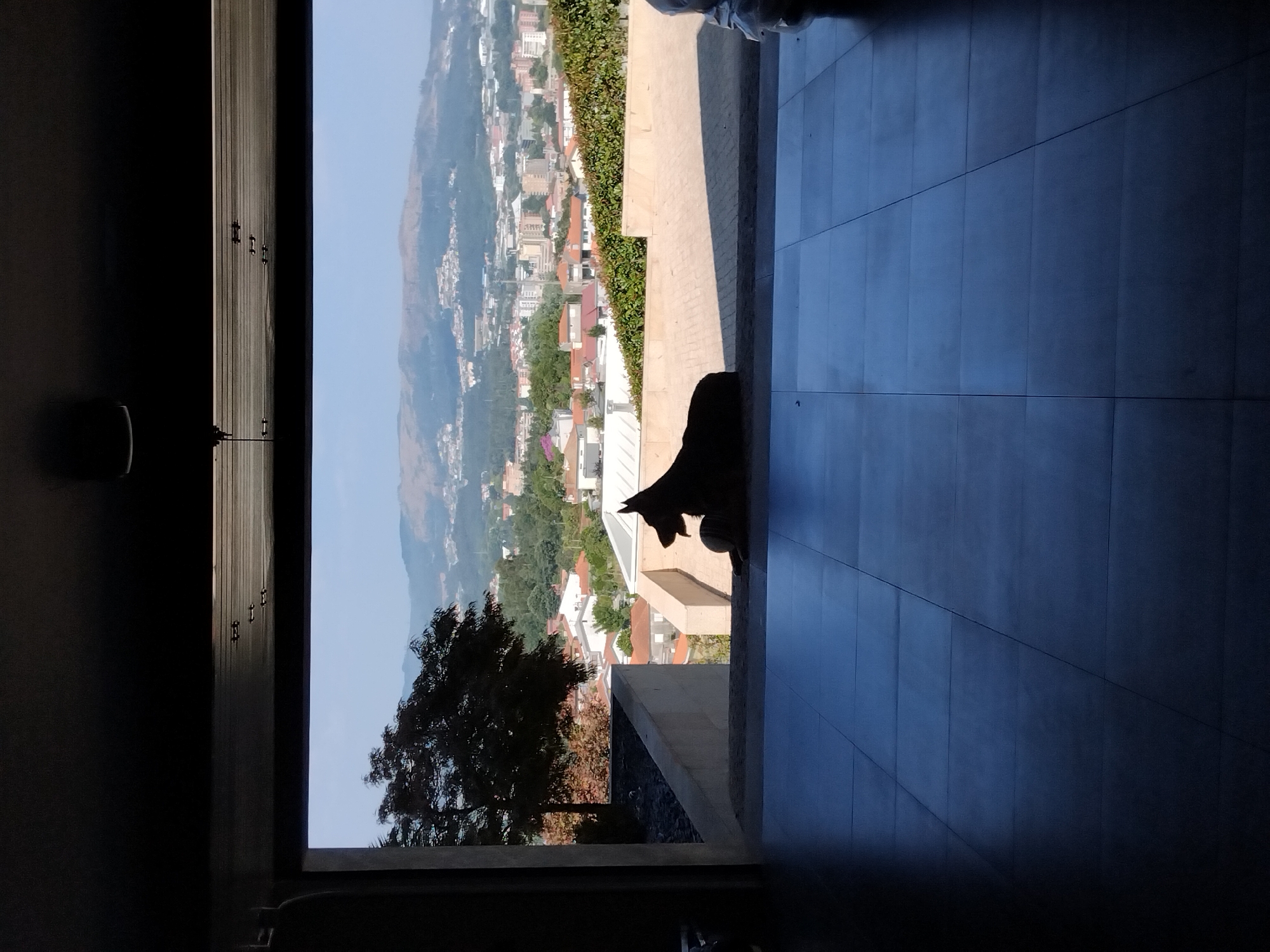 A dark silhouette of a German Shepherd dog is lying down on a tiled patio, facing right, with its mouth slightly open. The dog is positioned in the middle ground, framed by the dark interior of a building, looking out onto a scenic view of Vila Nova de Famalicão, Portugal. The cityscape, with its varied architecture and residential buildings, stretches across rolling hills under a clear blue sky. In the foreground, a dark, tiled floor leads into the scene. The overall lighting suggests it is daytime, with the sun casting shadows.