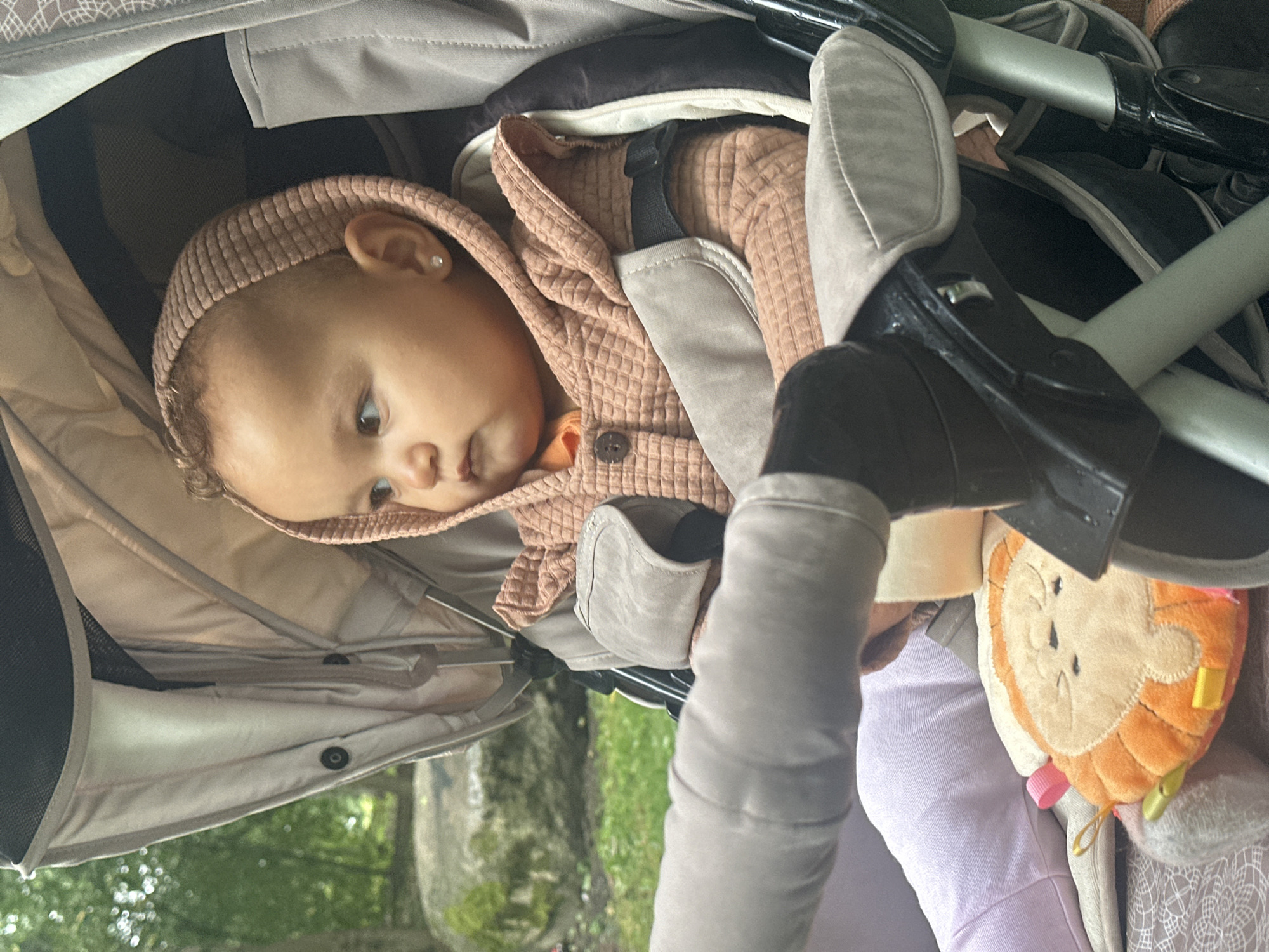 A baby is seated in a stroller with a tan hood and stroller seat. The baby is wearing a tan hooded jacket over an orange shirt. A small, diamond stud earring is visible in the baby's left ear. A stuffed toy, shaped like a lion's face, is on the baby's lap. The stroller is outdoors, with a blurred background of trees and rocks. The lighting suggests it is daytime. No location in Petrozavodsk, Russia, can be identified.