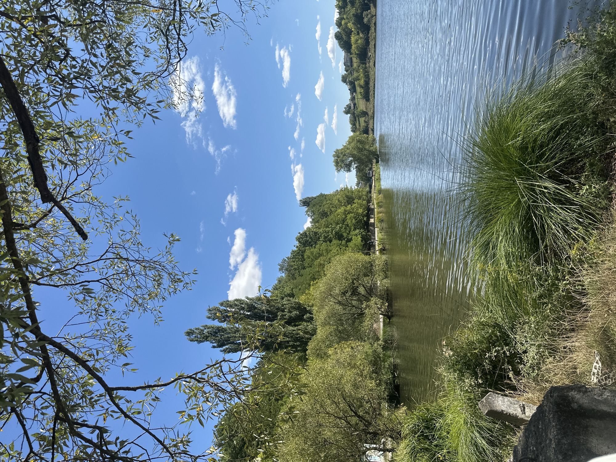 The image depicts a scenic view of a tranquil lake surrounded by lush greenery and a clear blue sky dotted with fluffy white clouds. The foreground is dominated by tall, wispy grasses and some large rocks, suggesting a park or natural setting. The lake stretches into the distance, reflecting the sky and the dense foliage of trees that line its banks. A paved path can be seen along the left side of the lake, with a few trees and some distant figures hinting at recreational activity. The overall impression is one of a peaceful, sun-drenched day in a natural landscape. This scene is located in the city of Makiv, Ukraine.